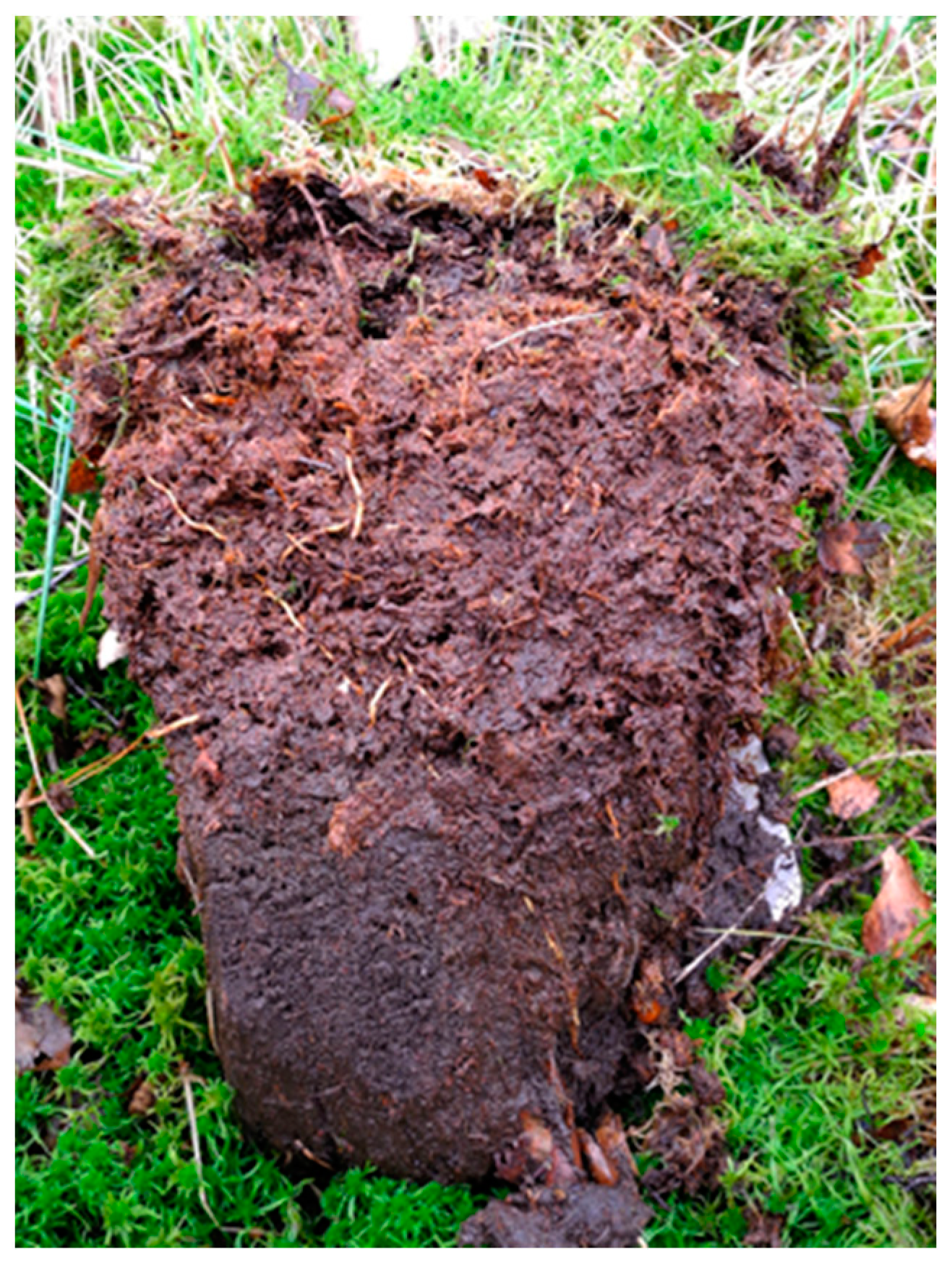 Ijpb 14 00050 g024 Ijpb 14 00050 g024