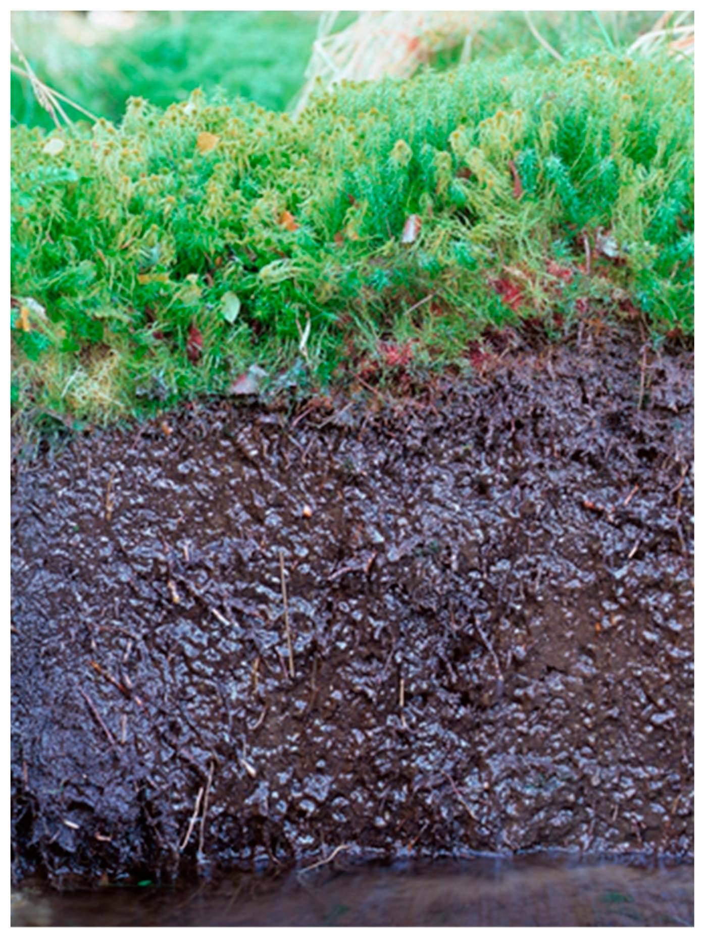 Ijpb 14 00050 g025 Ijpb 14 00050 g025