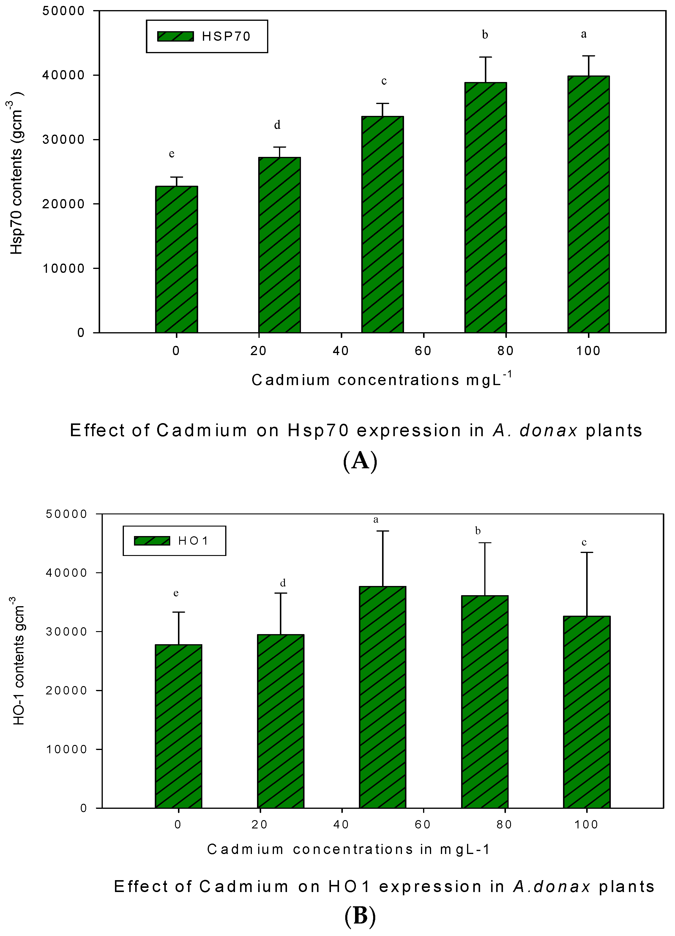 Ijpb 14 00051 g002 Ijpb 14 00051 g002