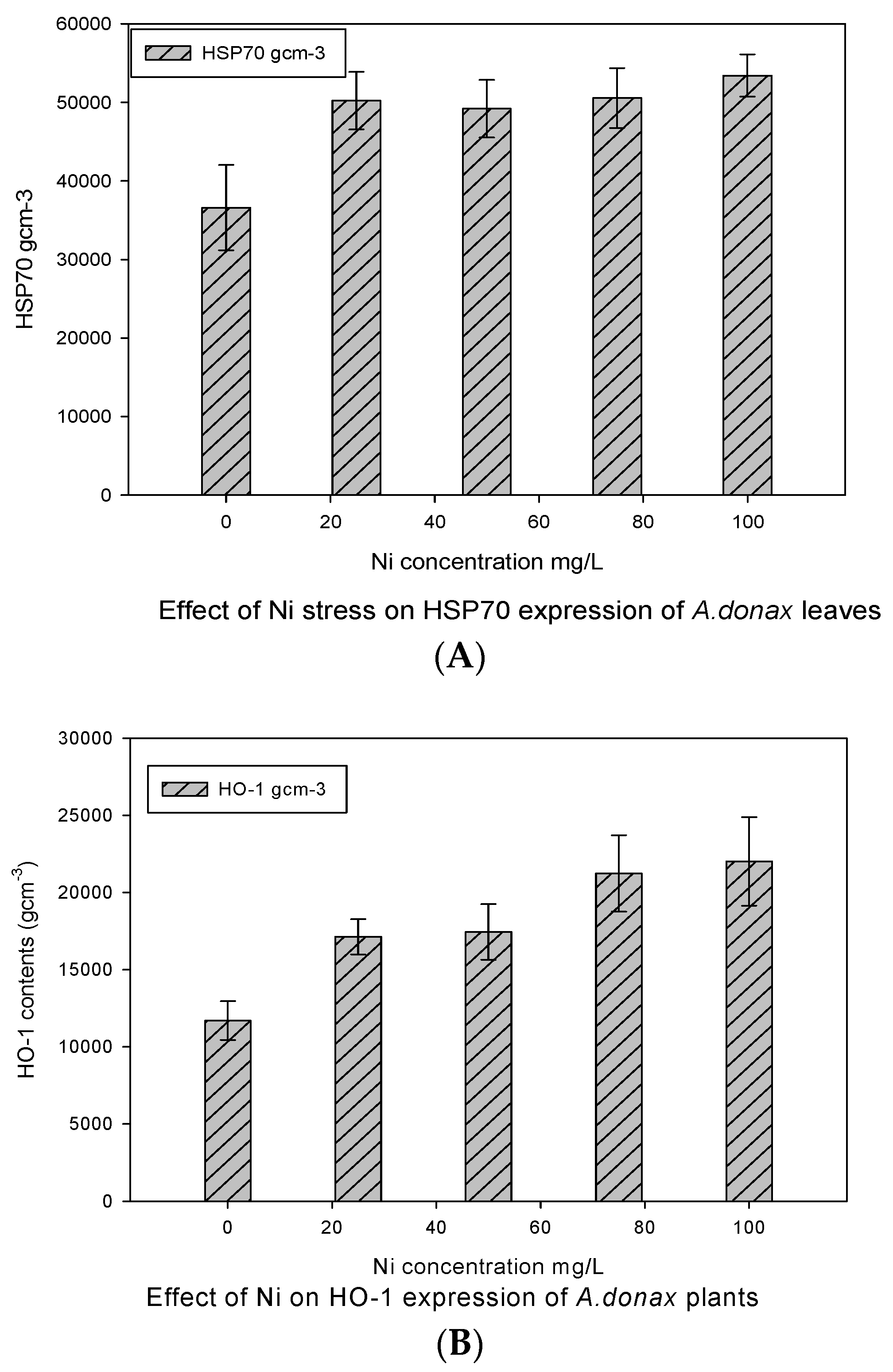 Ijpb 14 00051 g003 Ijpb 14 00051 g003