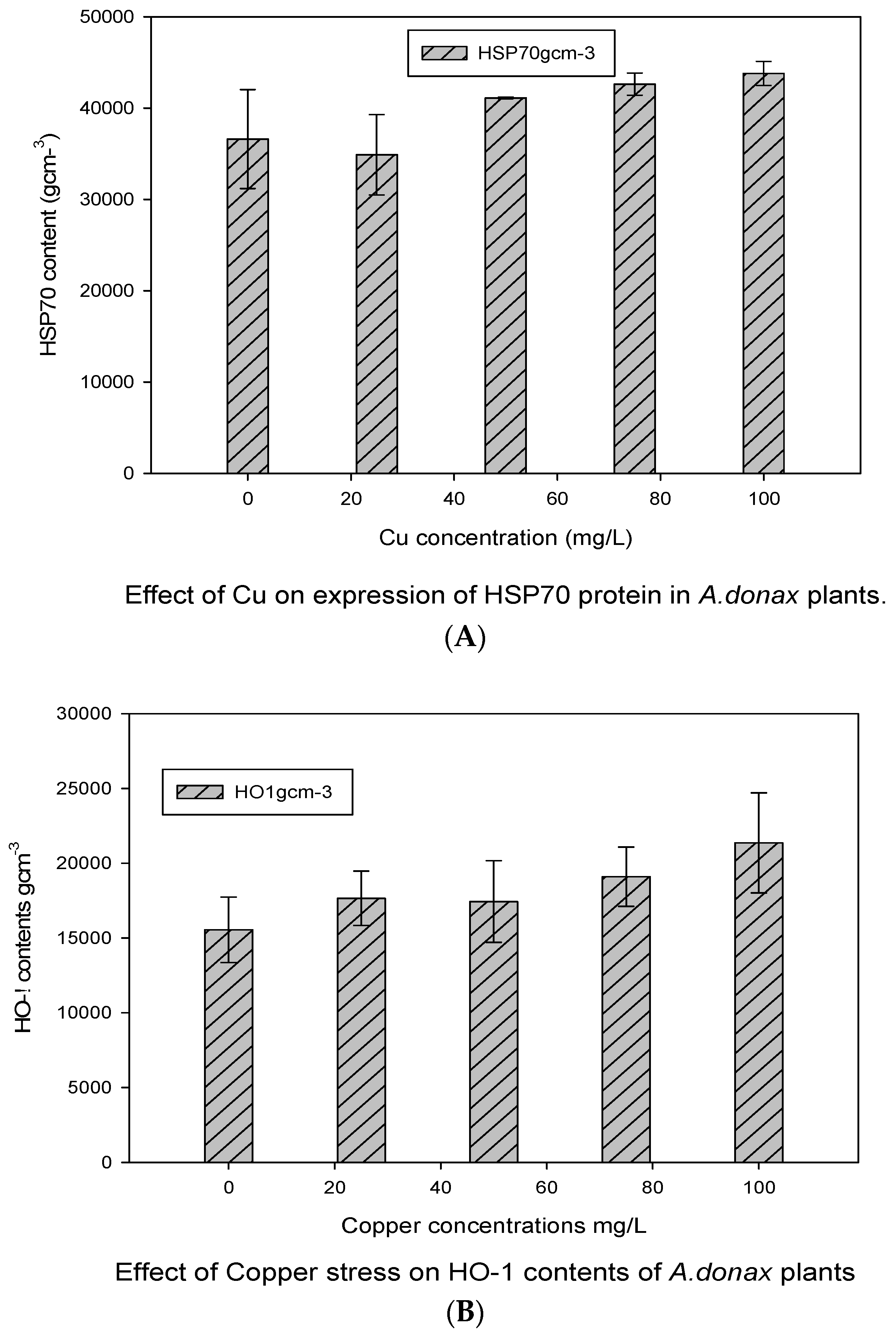 Ijpb 14 00051 g004 Ijpb 14 00051 g004