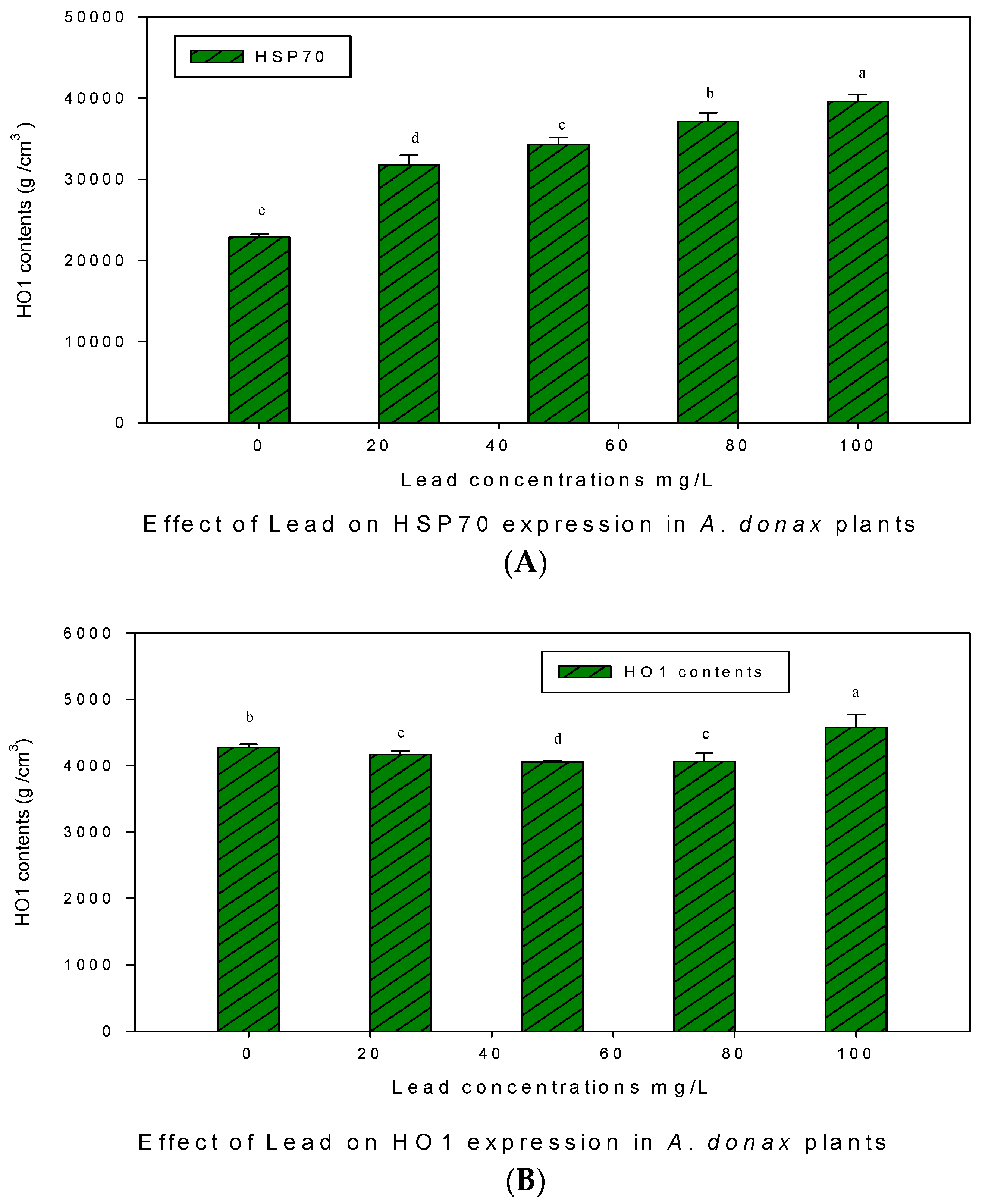 Ijpb 14 00051 g005 Ijpb 14 00051 g005