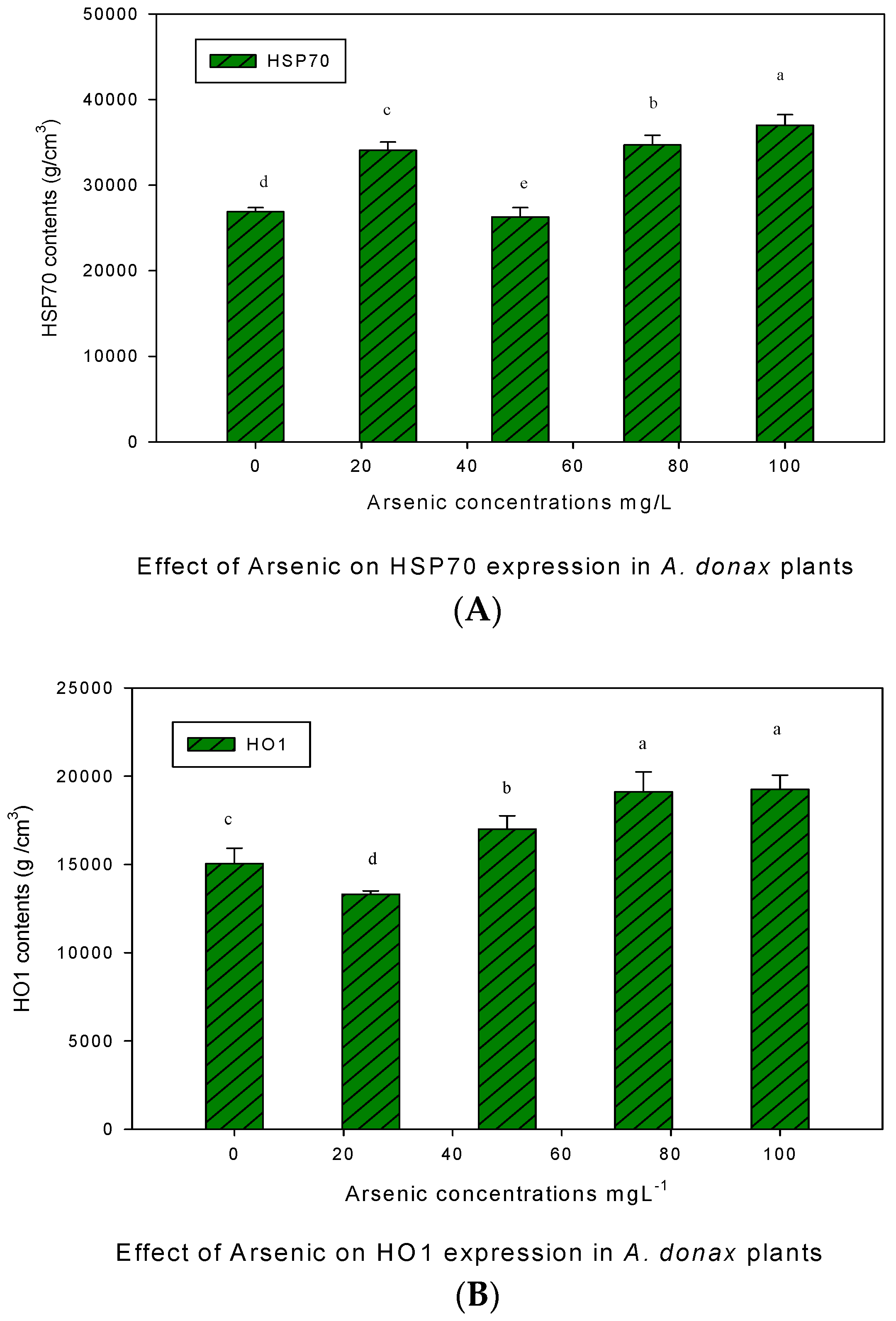 Ijpb 14 00051 g006 Ijpb 14 00051 g006