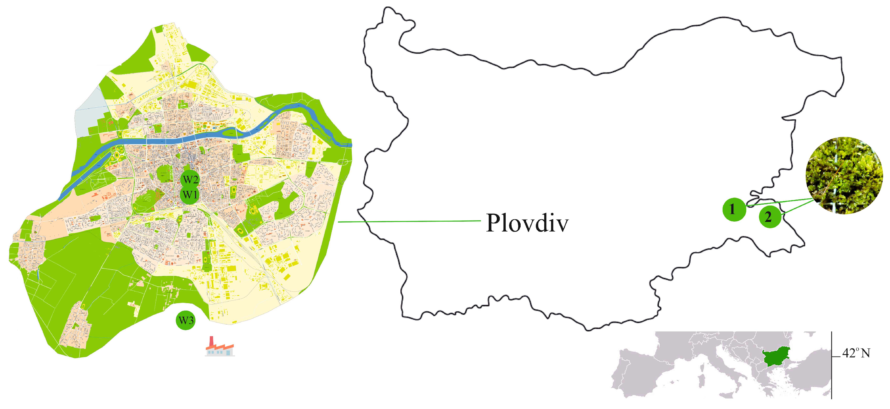 Ijpb 16 00044 g001 Ijpb 16 00044 g001