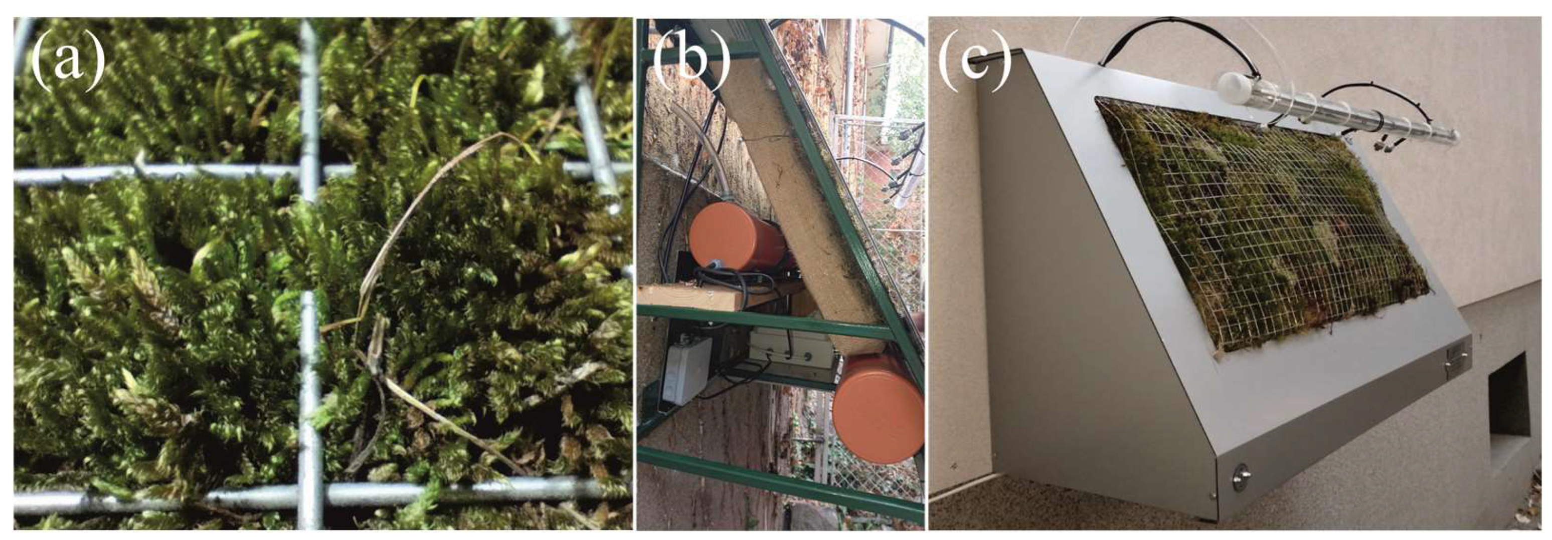 Ijpb 16 00044 g002 Ijpb 16 00044 g002