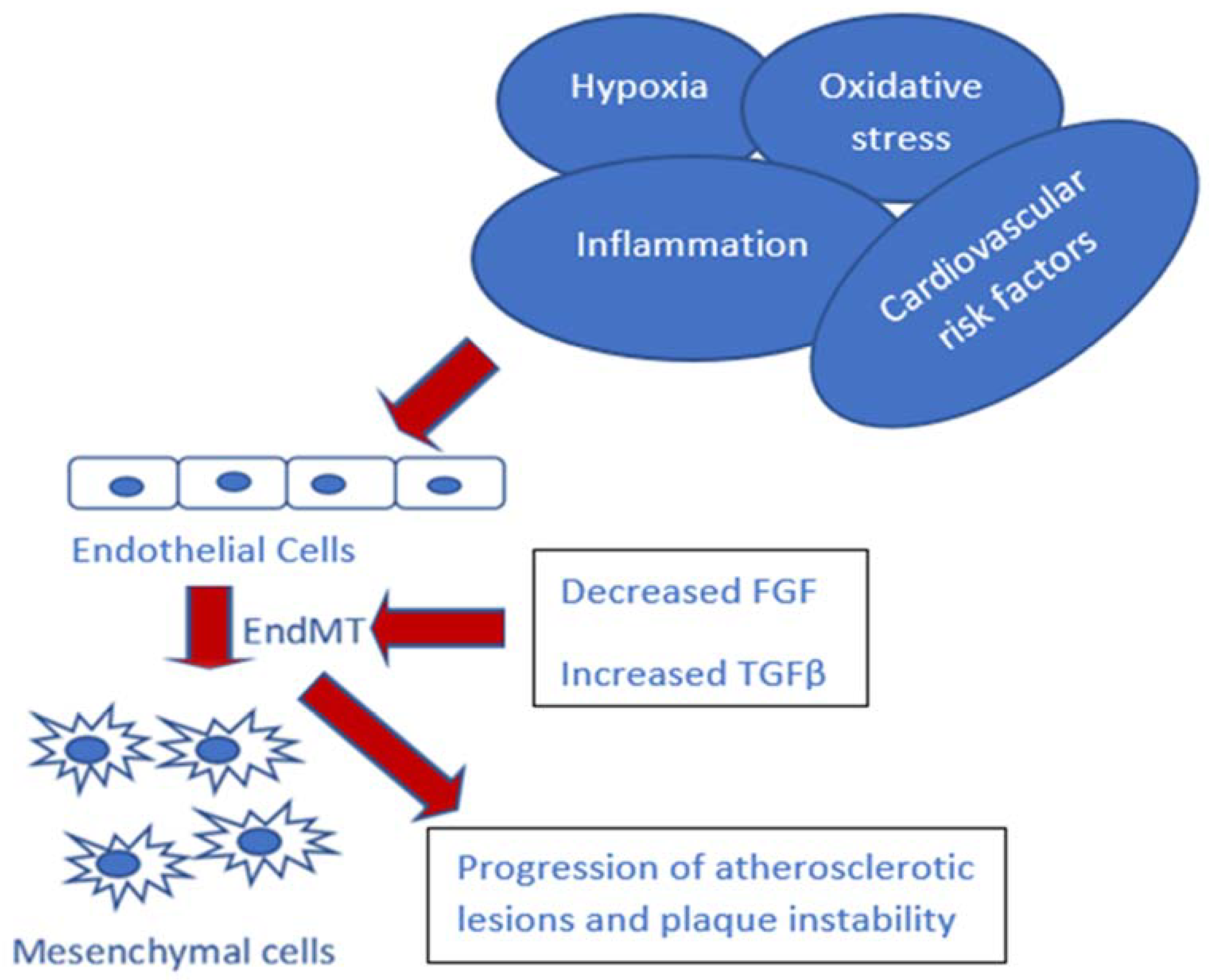 Ijtm 01 00004 g002 Ijtm 01 00004 g002