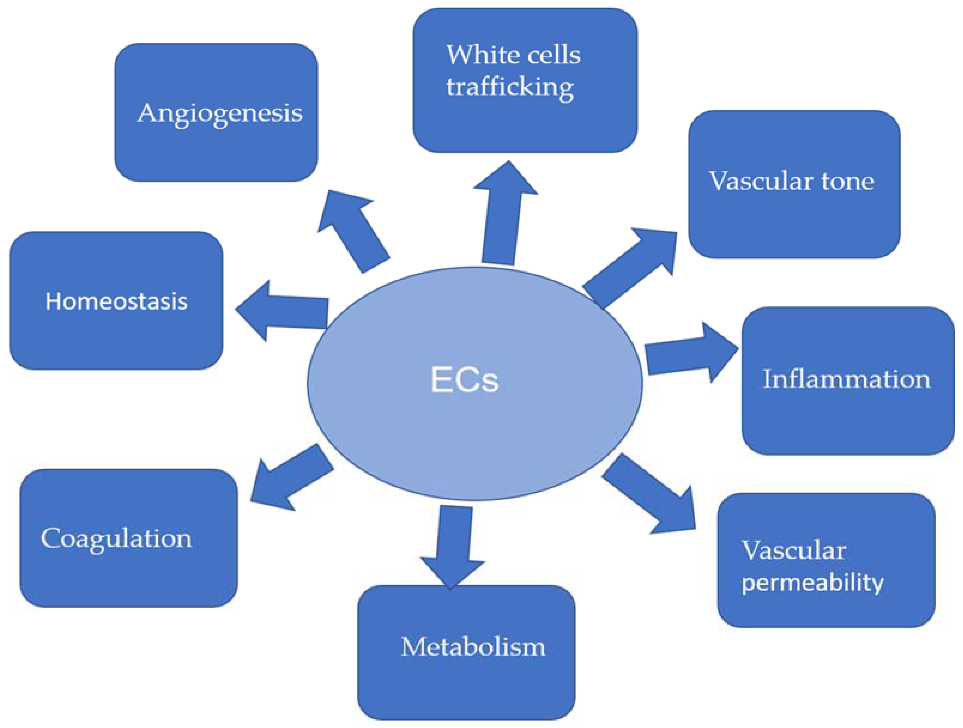 Ijtm 01 00004 g003 Ijtm 01 00004 g003