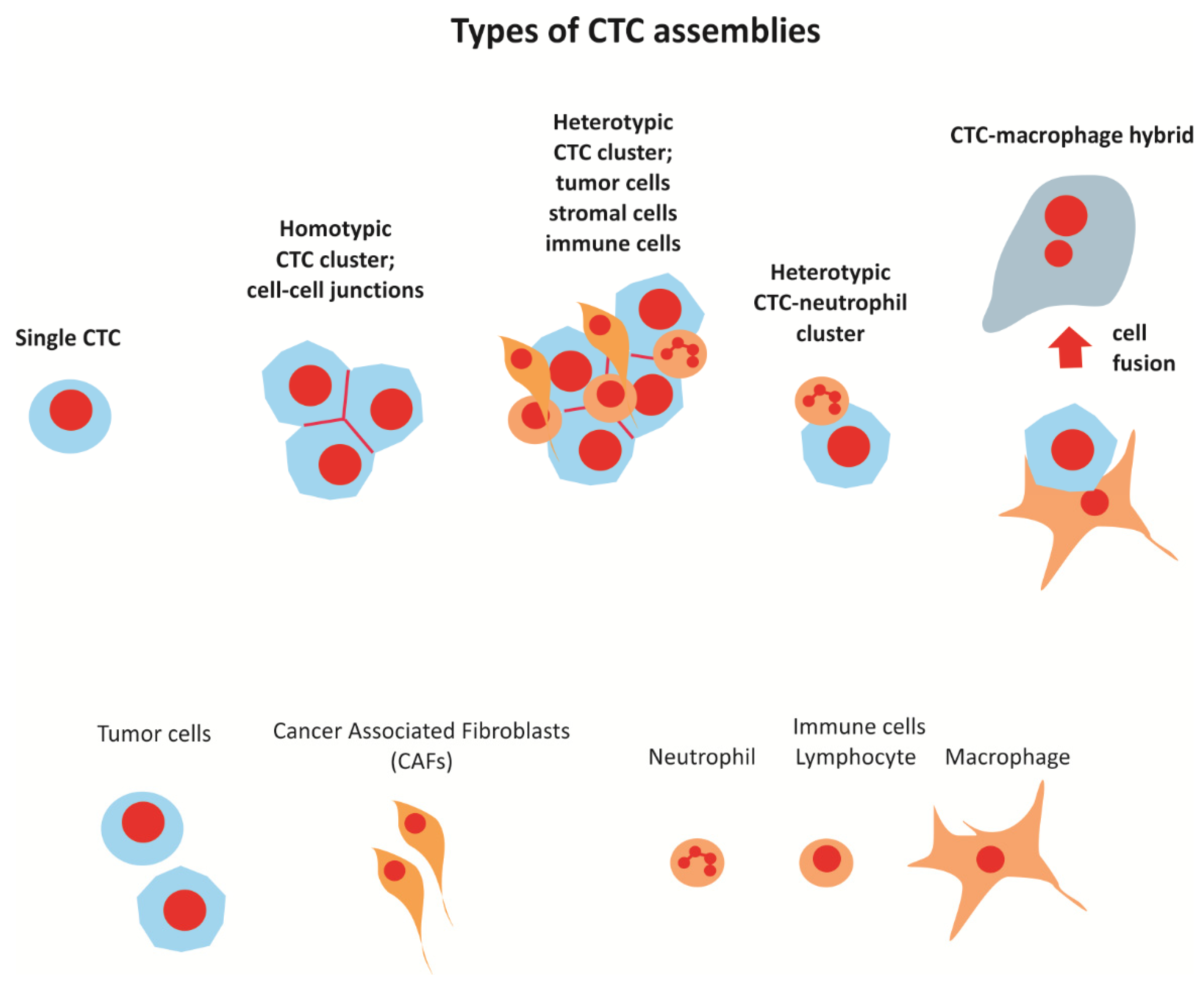 Ijtm 01 00005 g002 Ijtm 01 00005 g002