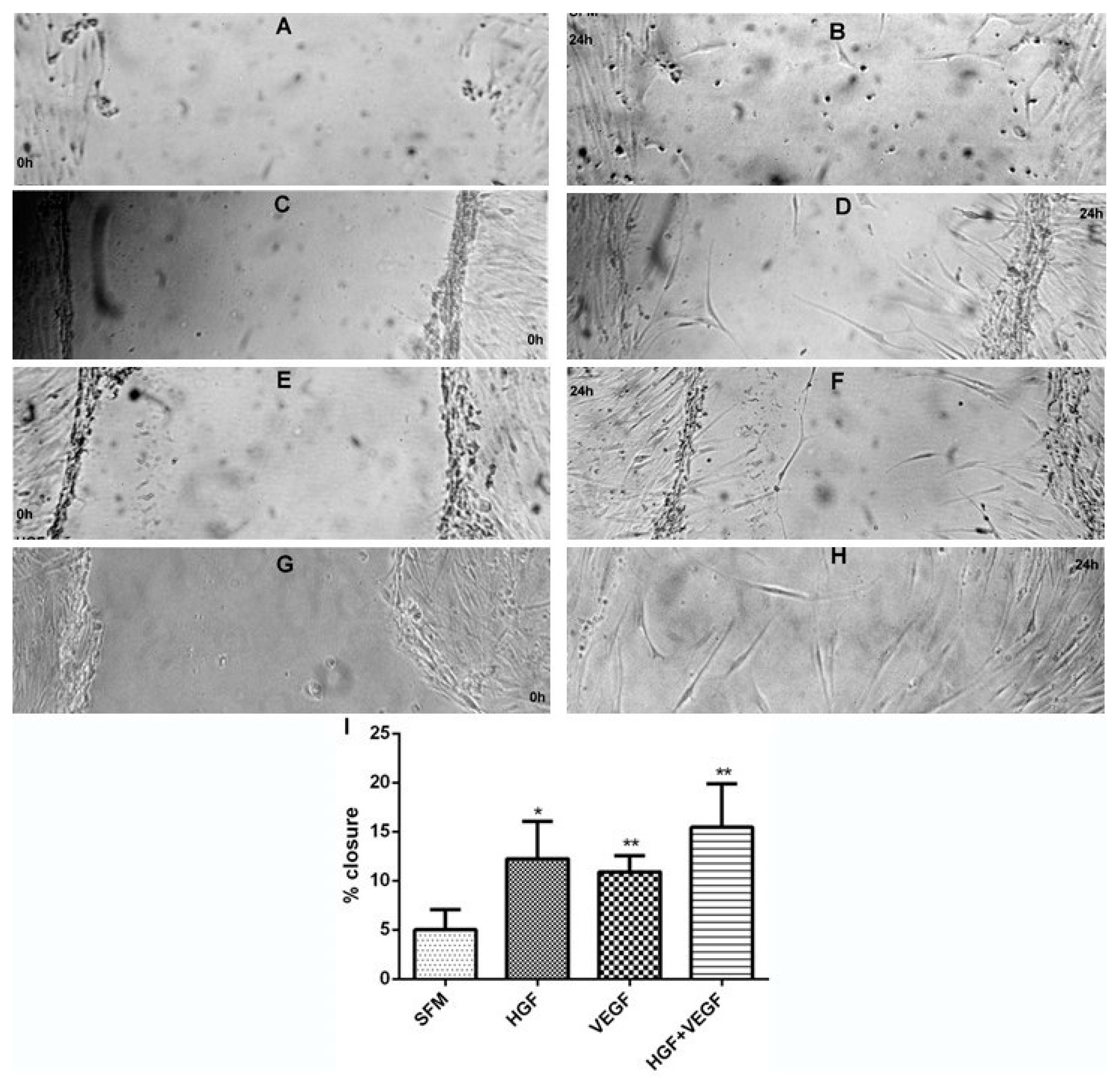 Ijtm 01 00006 g005 Ijtm 01 00006 g005