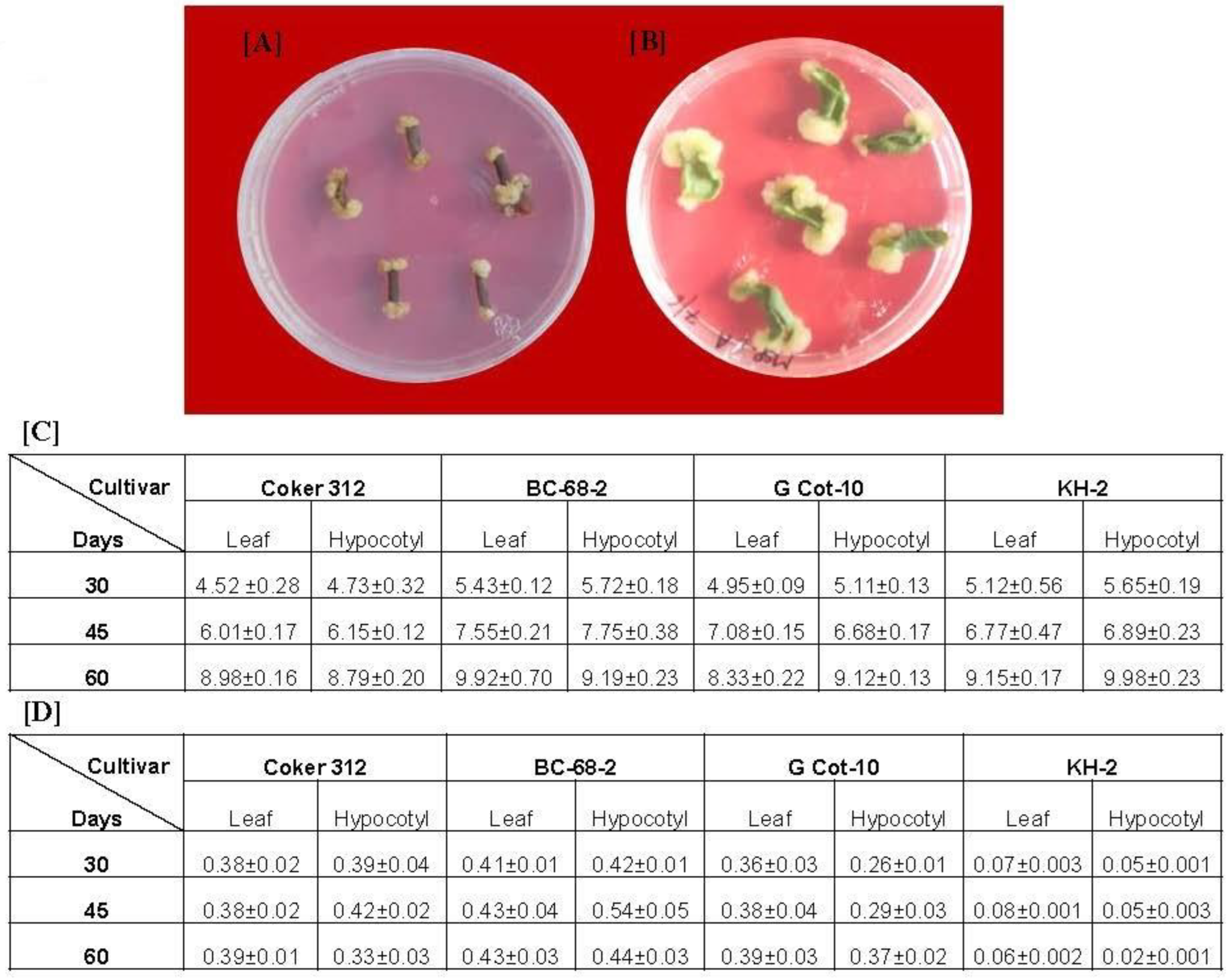 Ijtm 02 00046 g001 Ijtm 02 00046 g001