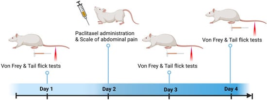 DB Mouse Tails 3 - 20 Pack