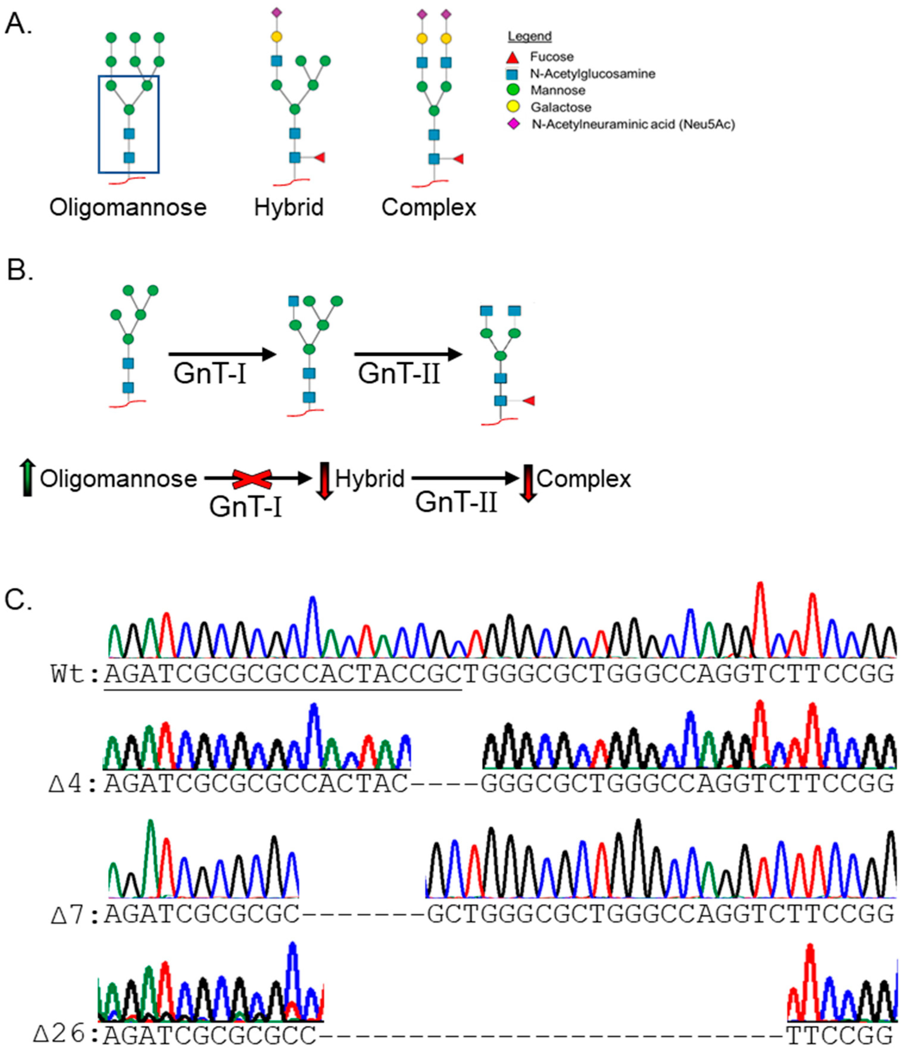 Ijtm 04 00035 g001 Ijtm 04 00035 g001
