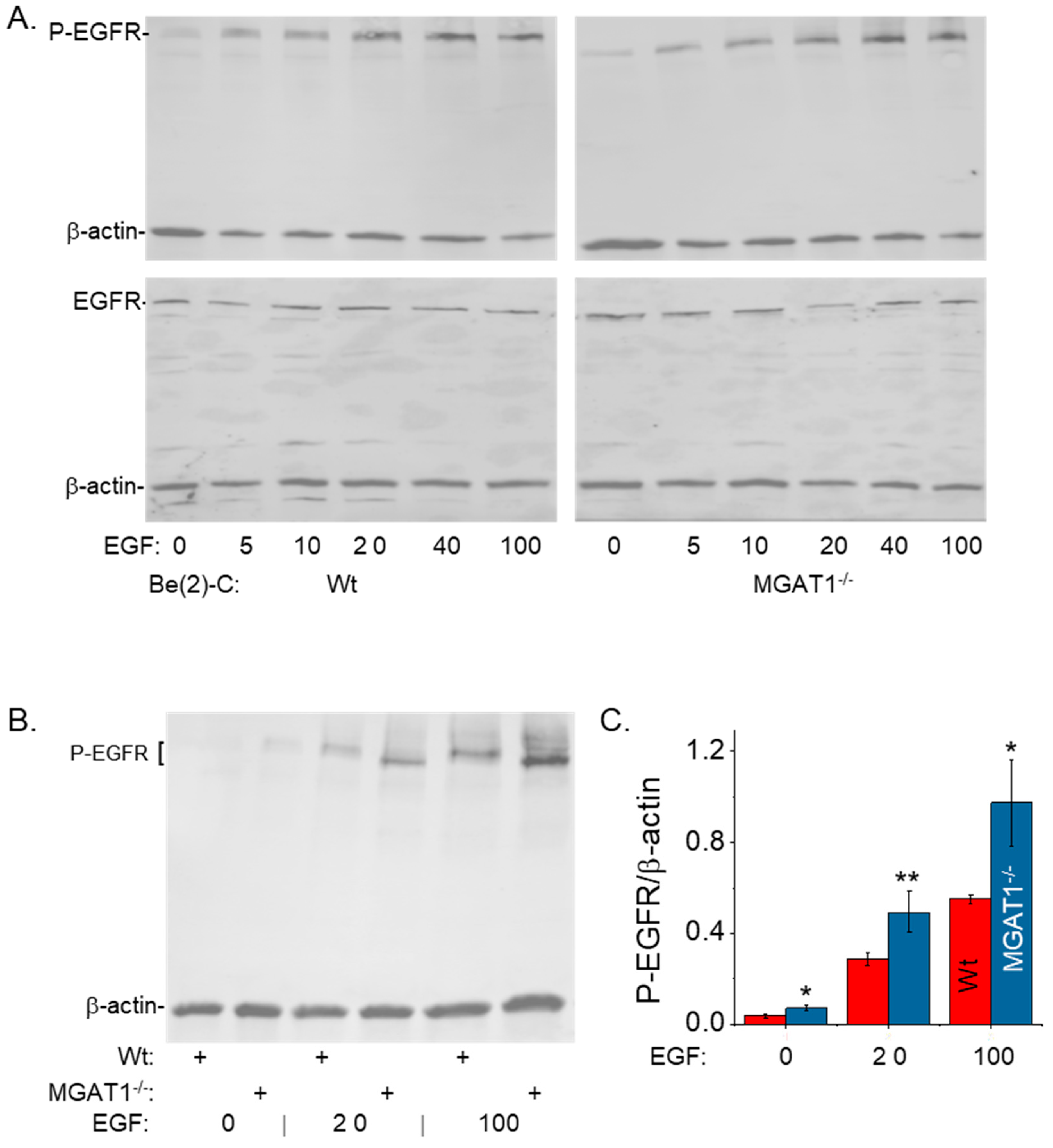 Ijtm 04 00035 g004 Ijtm 04 00035 g004
