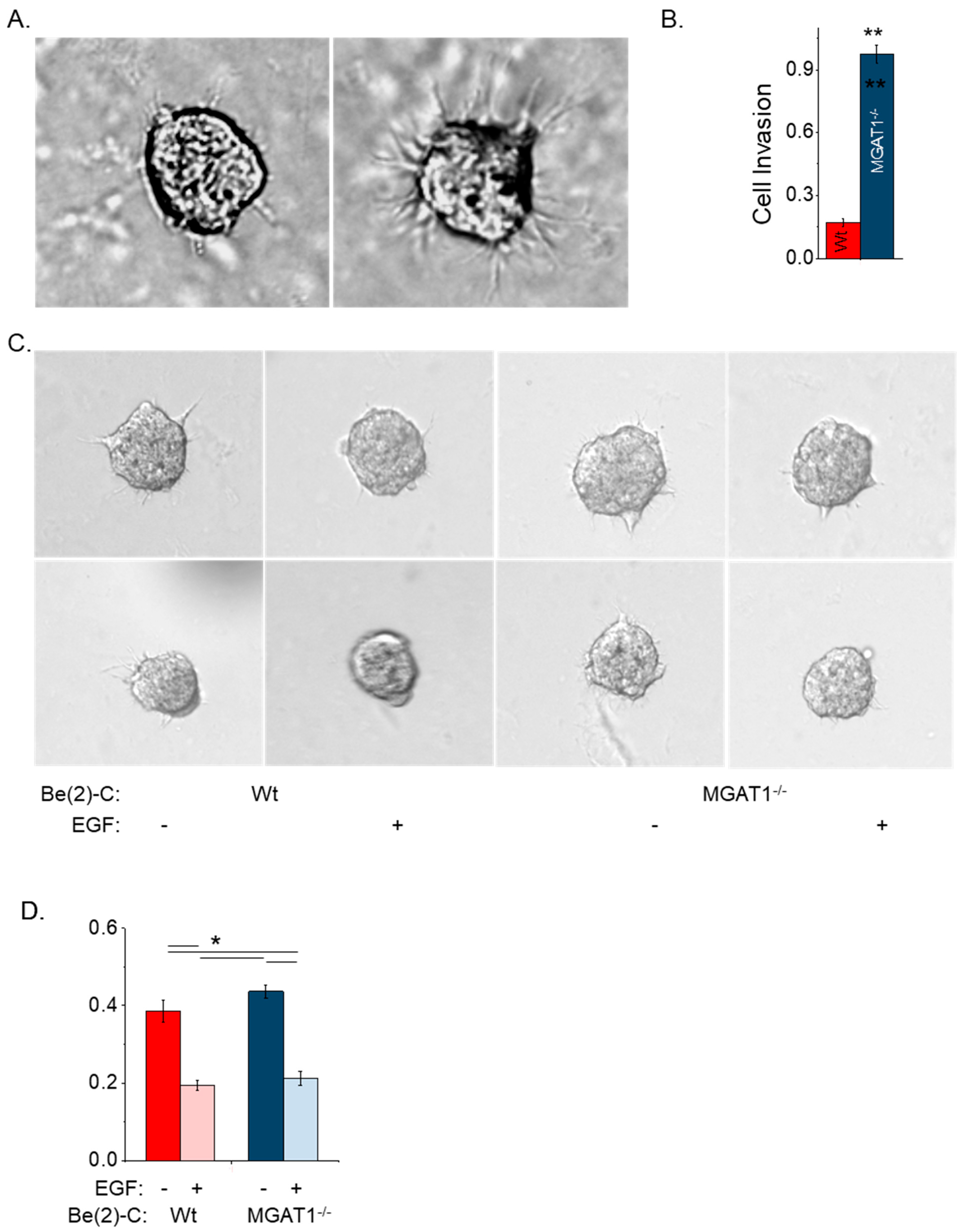 Ijtm 04 00035 g007 Ijtm 04 00035 g007