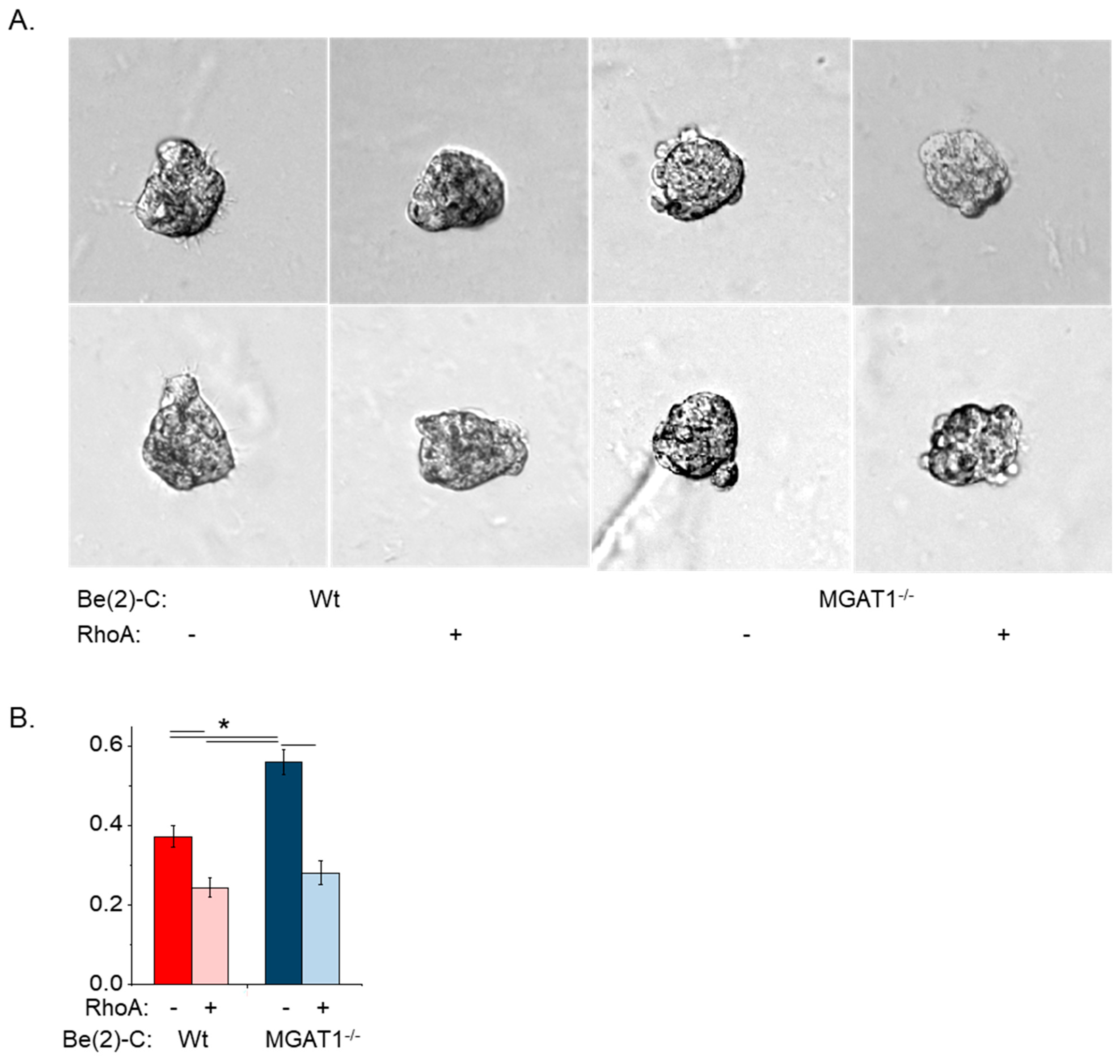 Ijtm 04 00035 g008 Ijtm 04 00035 g008