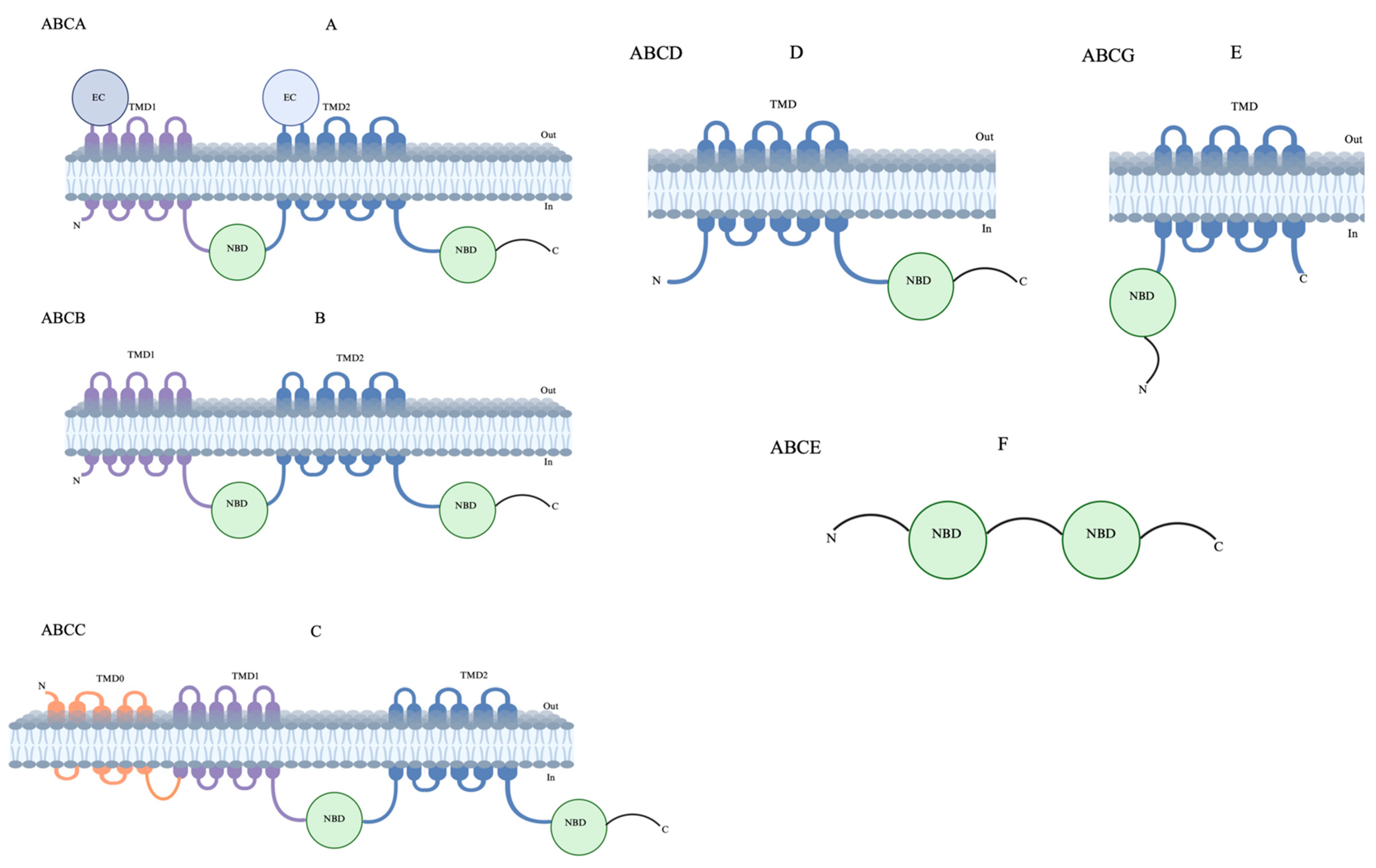 Ijtm 05 00006 g002 Ijtm 05 00006 g002