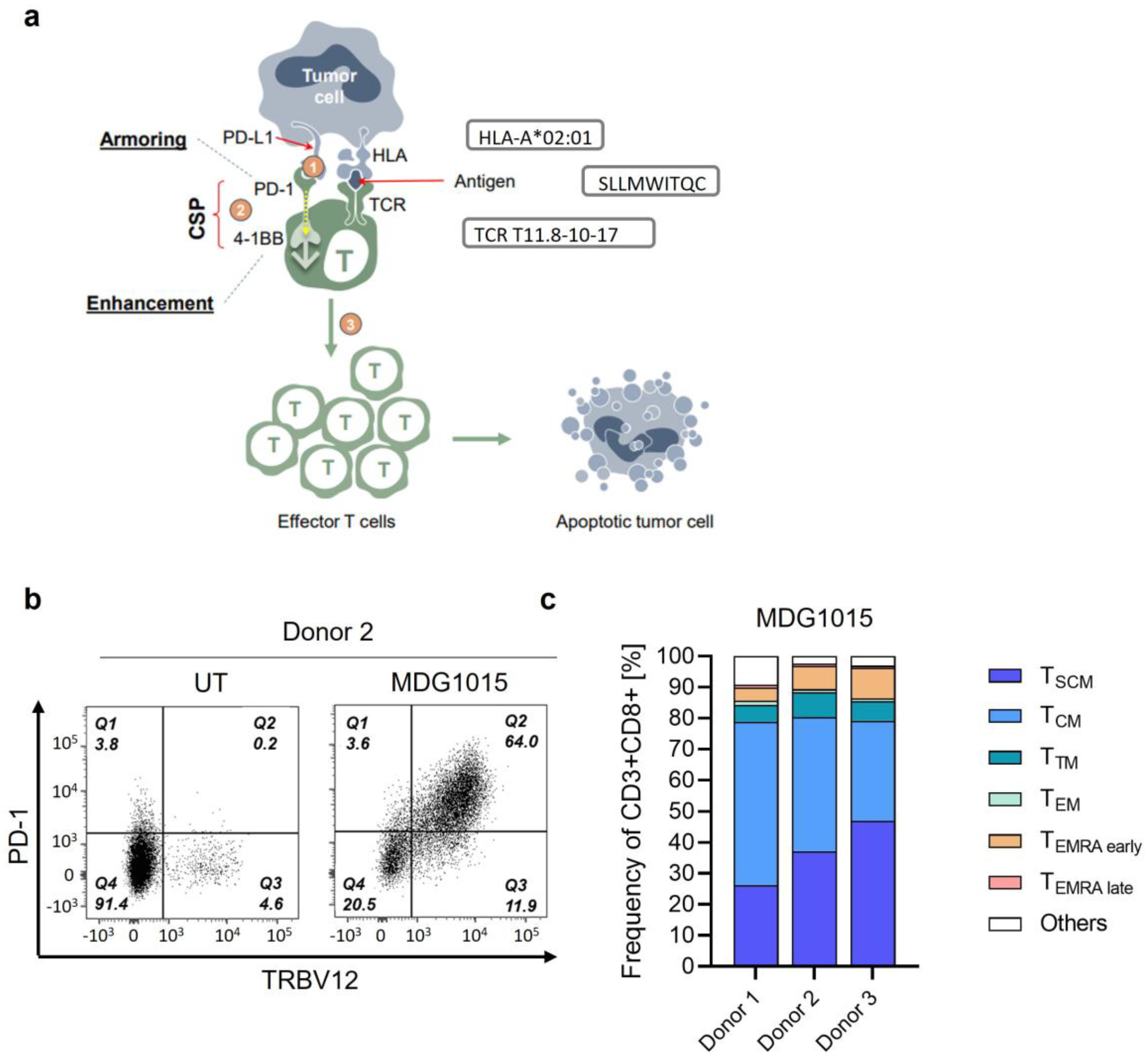 Ijtm 05 00045 g001 Ijtm 05 00045 g001