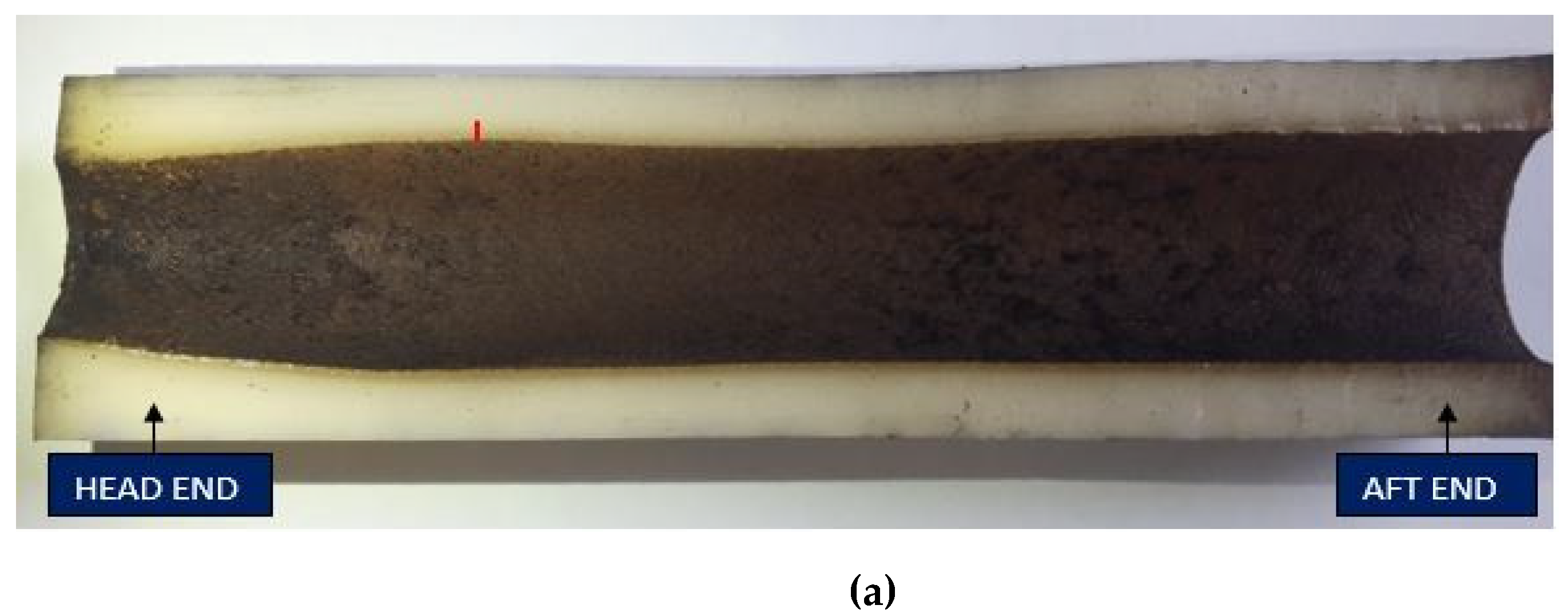 Ijtpp 05 00012 g008a Ijtpp 05 00012 g008a