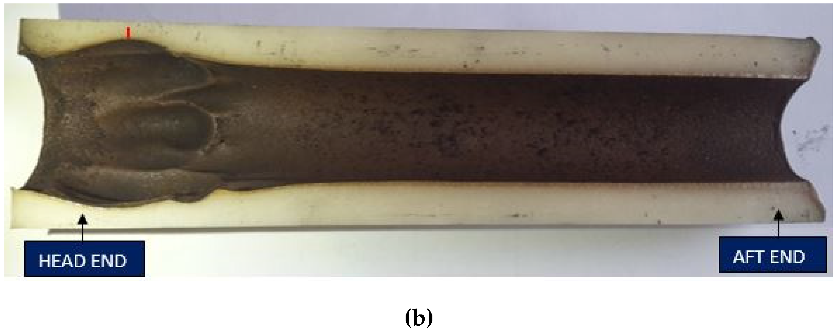 Ijtpp 05 00012 g008b Ijtpp 05 00012 g008b