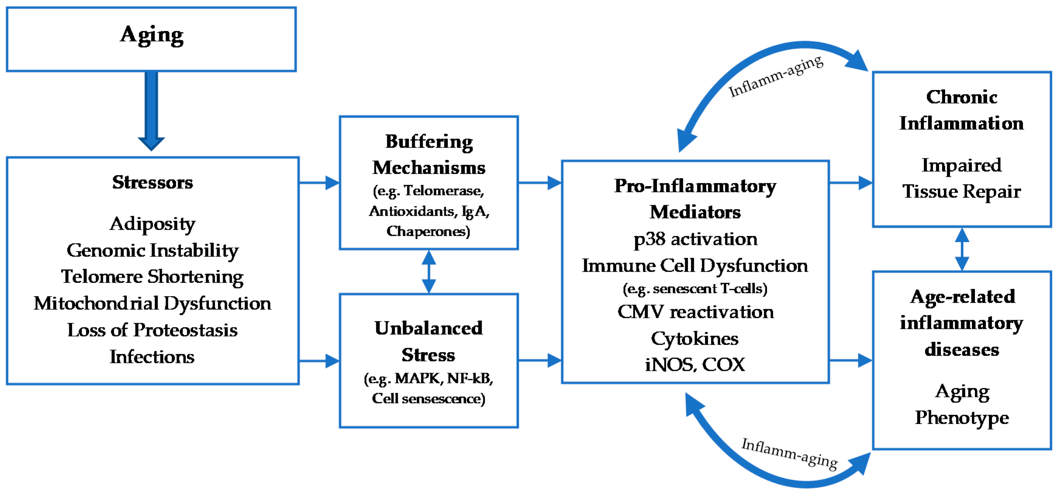 Immuno 01 00009 g001 Immuno 01 00009 g001