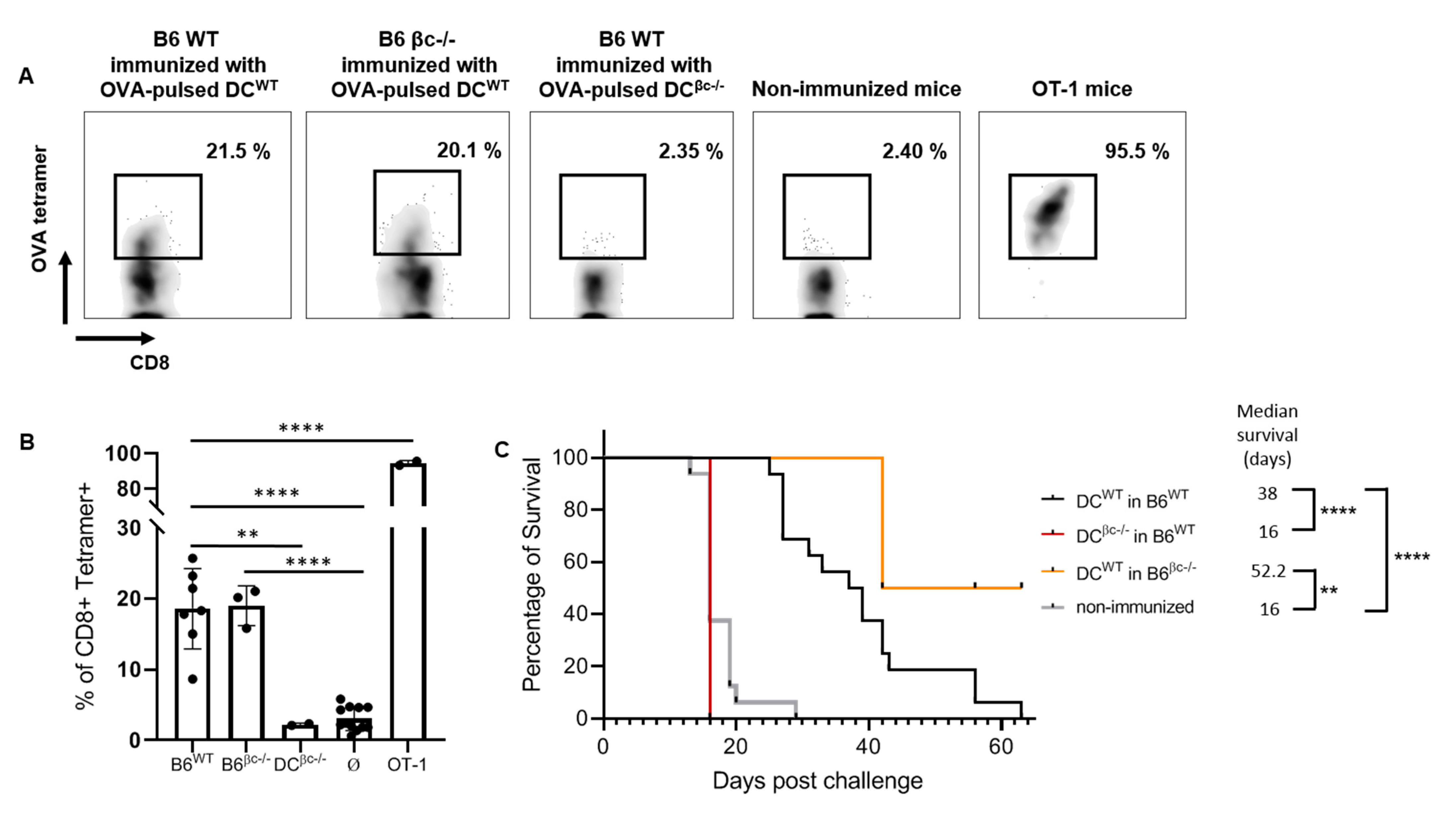 Immuno 01 00016 g004