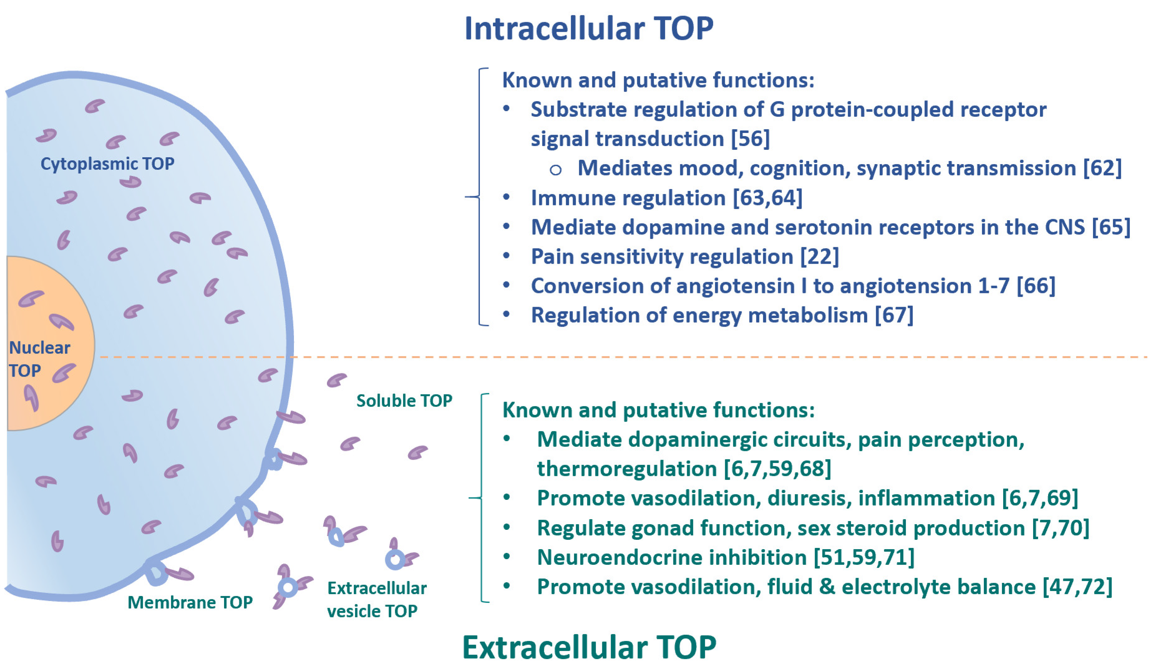 Immuno 01 00022 g002 Immuno 01 00022 g002