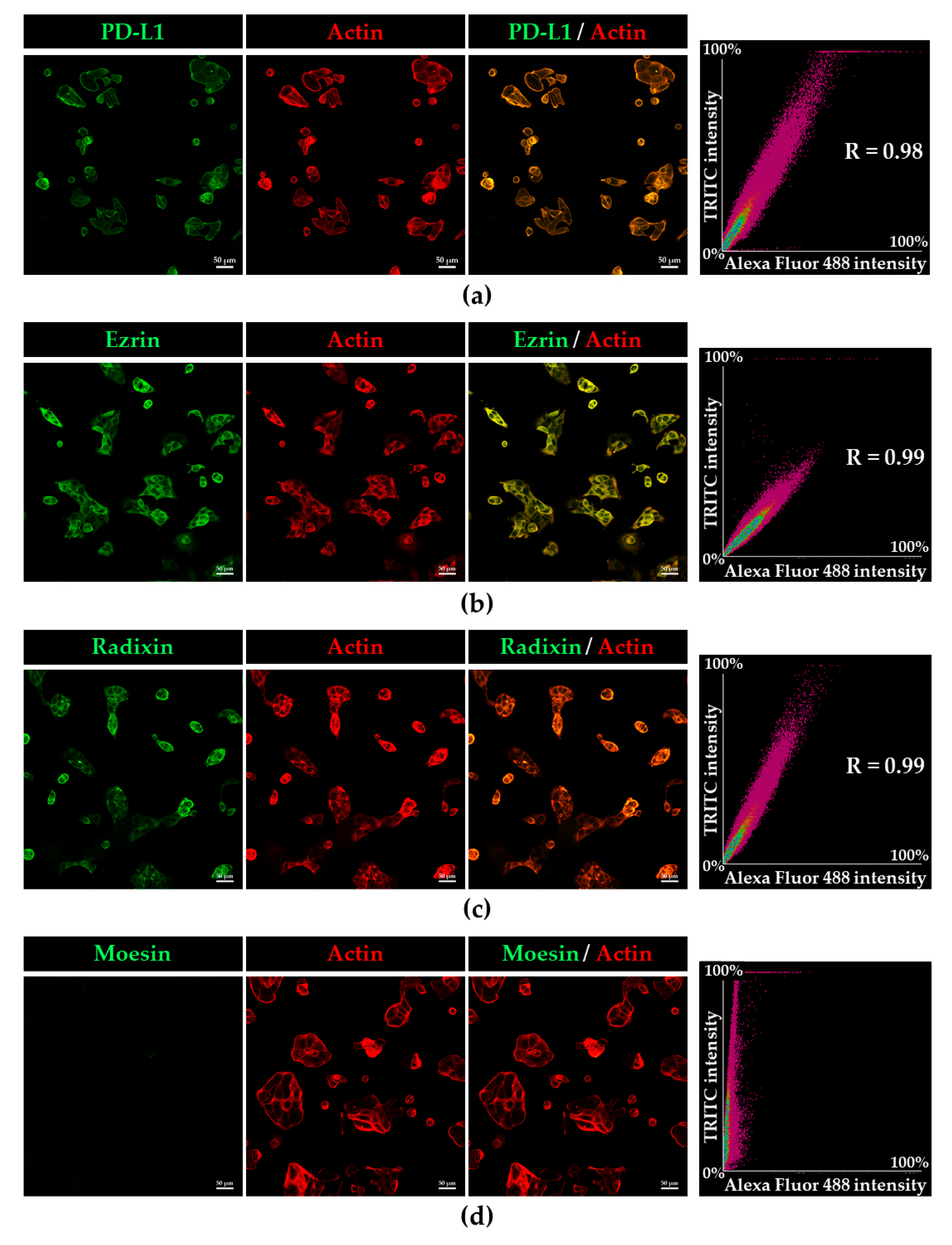 Immuno 02 00006 g002 Immuno 02 00006 g002