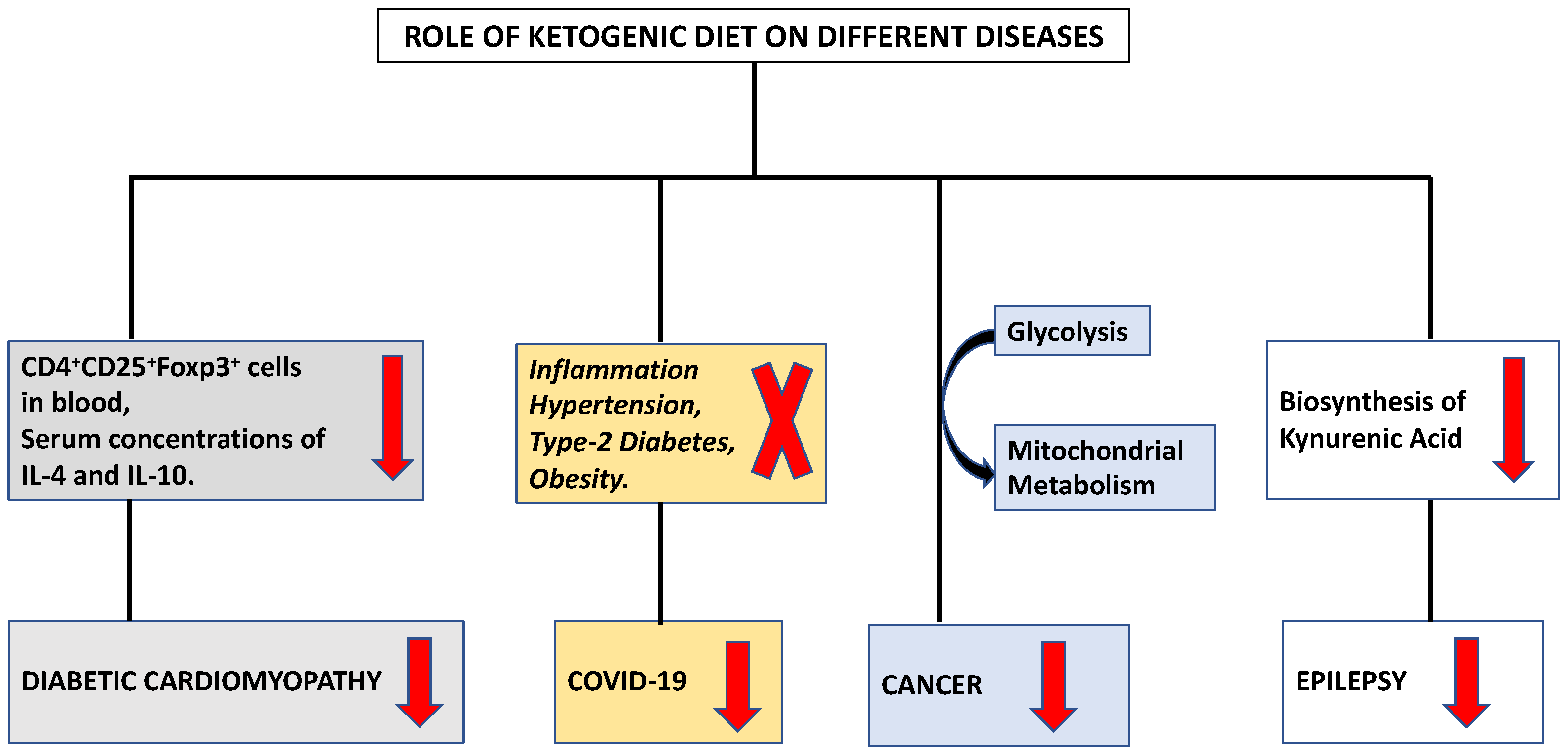 Ketosis and Immune System