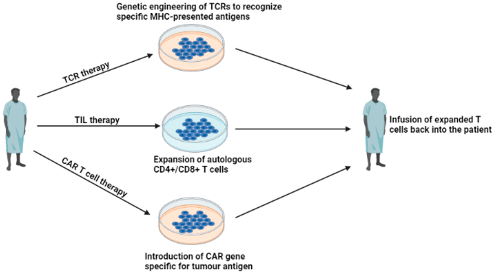 Immuno 03 00013 g003 Immuno 03 00013 g003