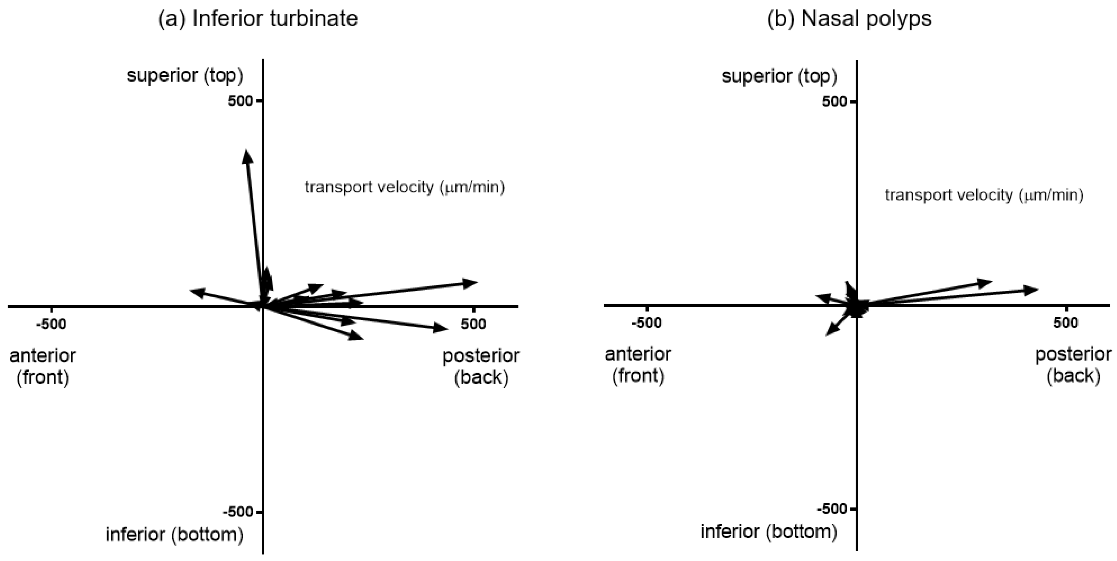Immuno 04 00016 g001