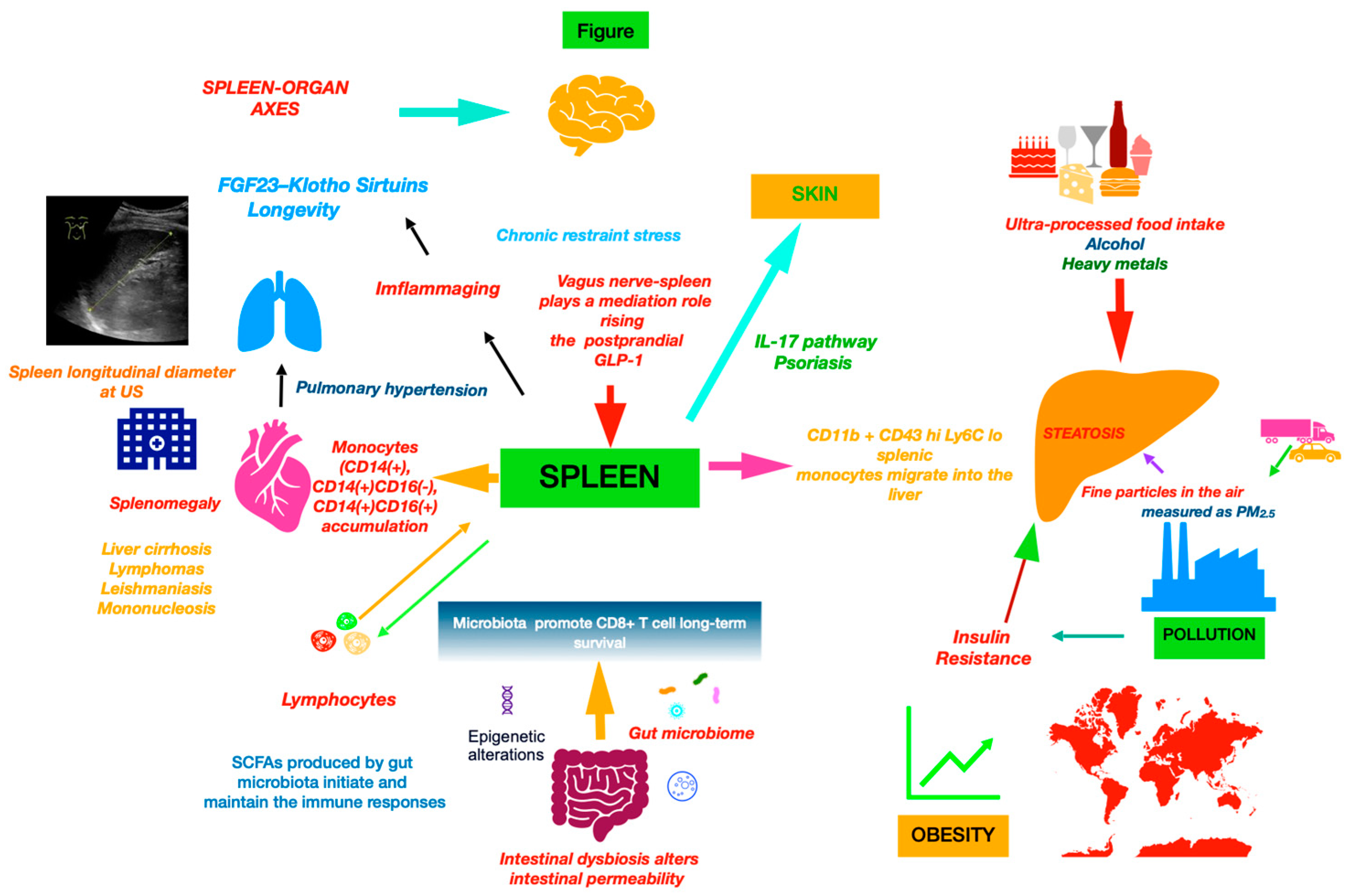 Immuno 04 00030 g001 Immuno 04 00030 g001