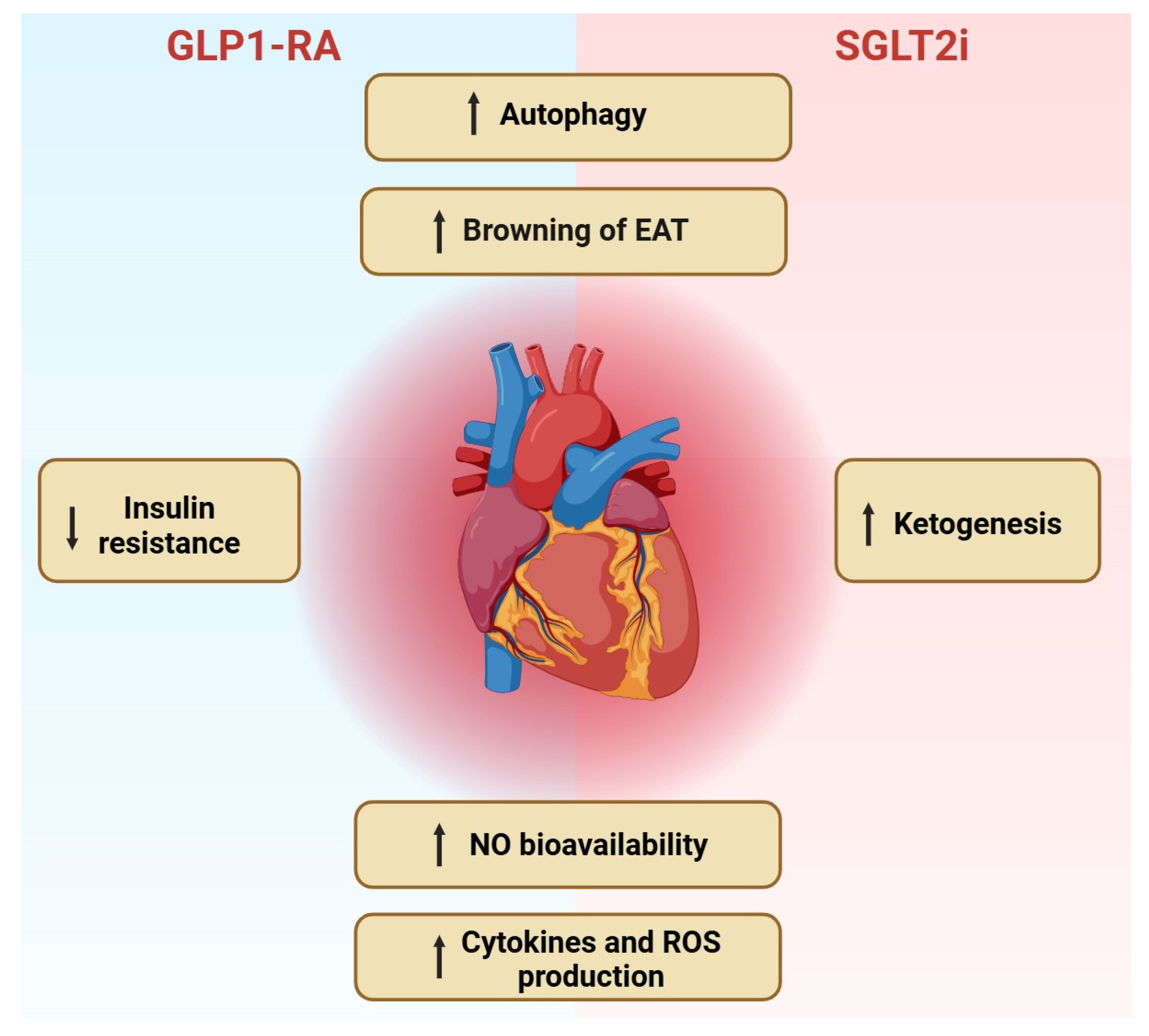 Immuno 05 00011 g001