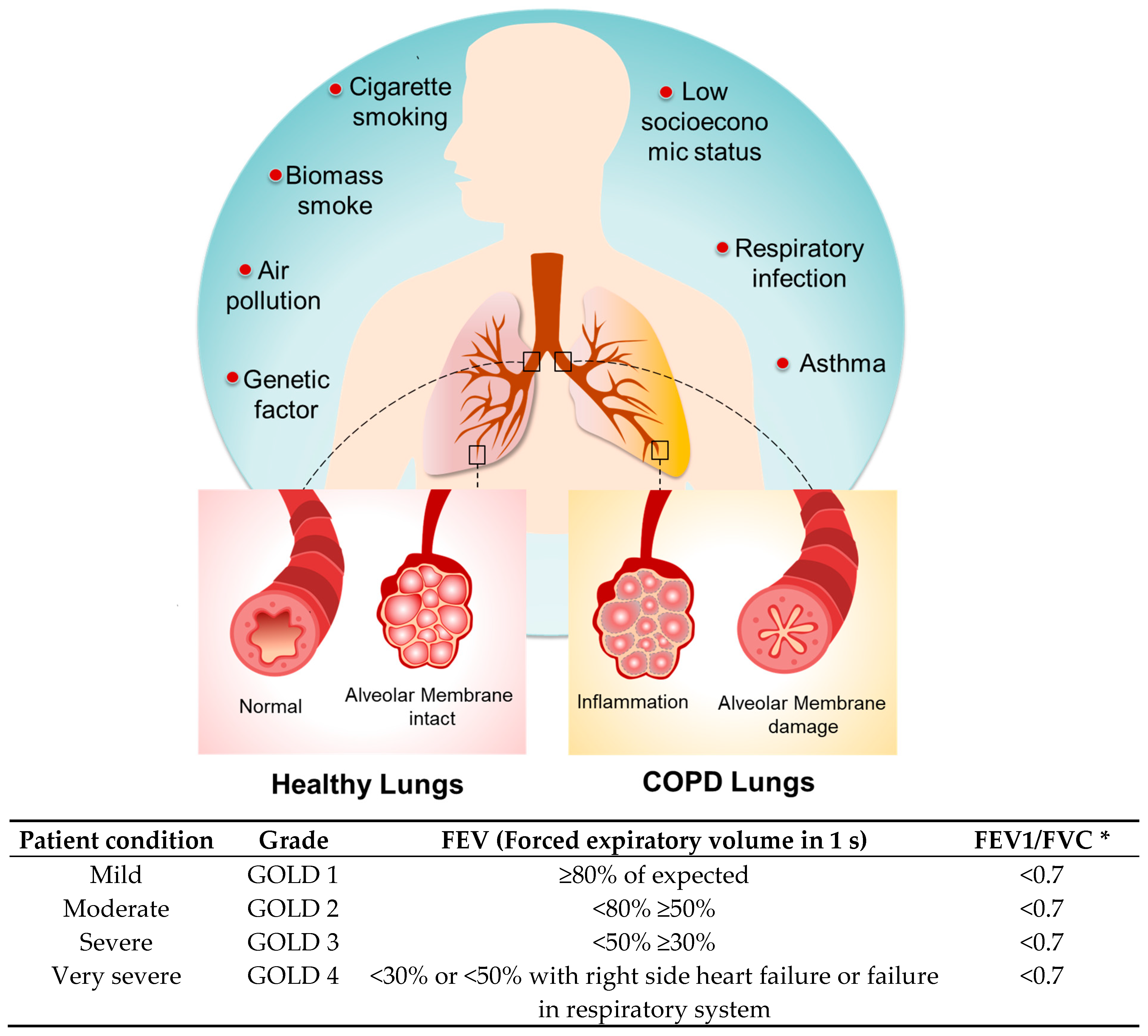 Immuno 05 00013 g001