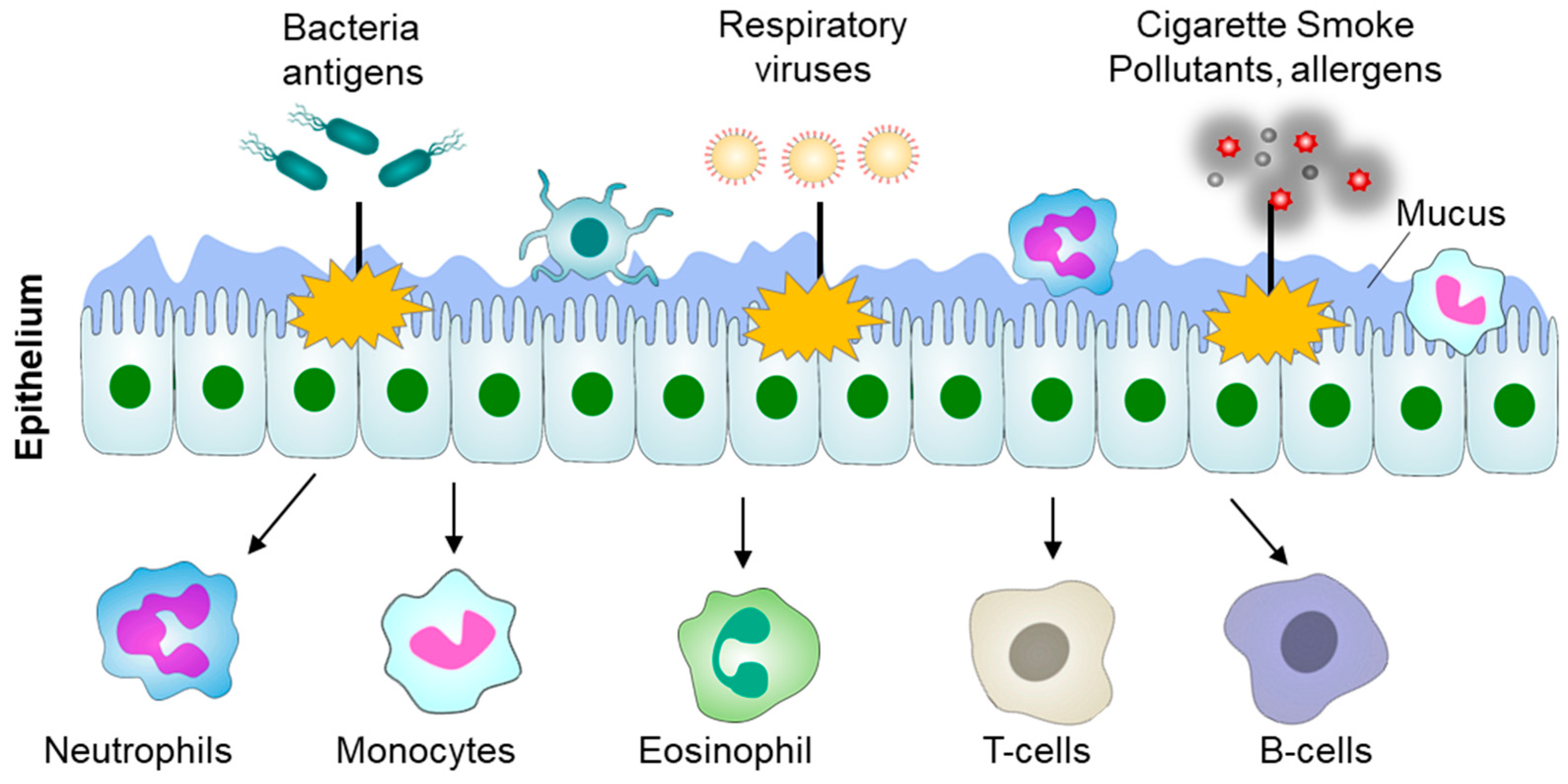 Immuno 05 00013 g002