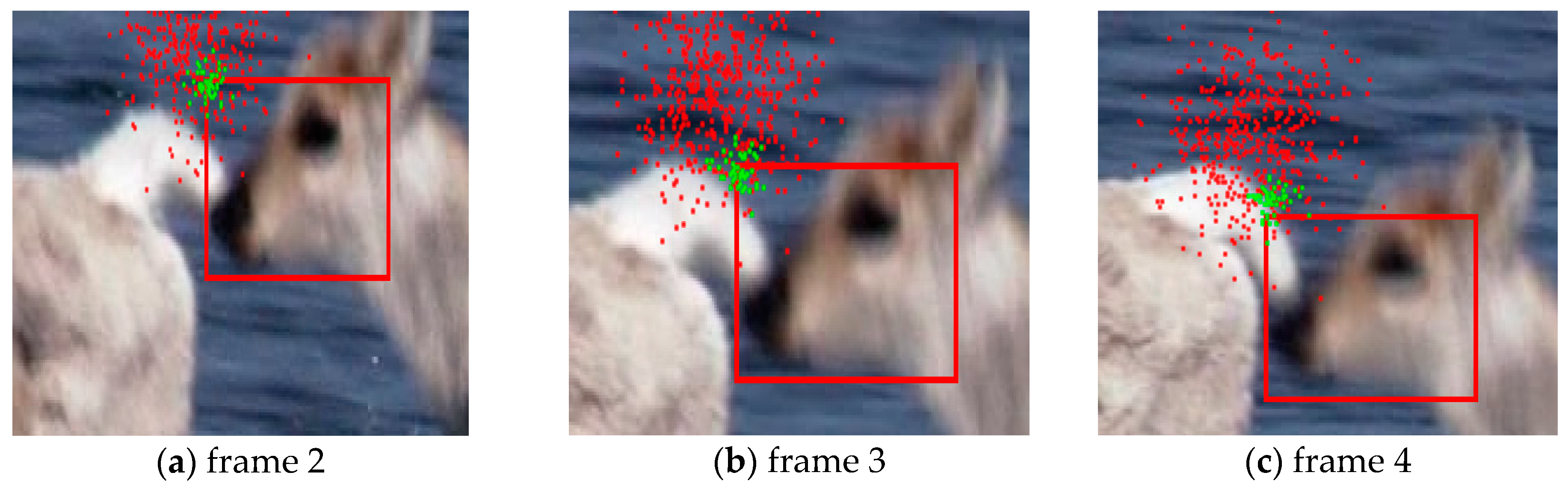 Information | Free Full-Text | Target Tracking Algorithm Based on an  Adaptive Feature and Particle Filter