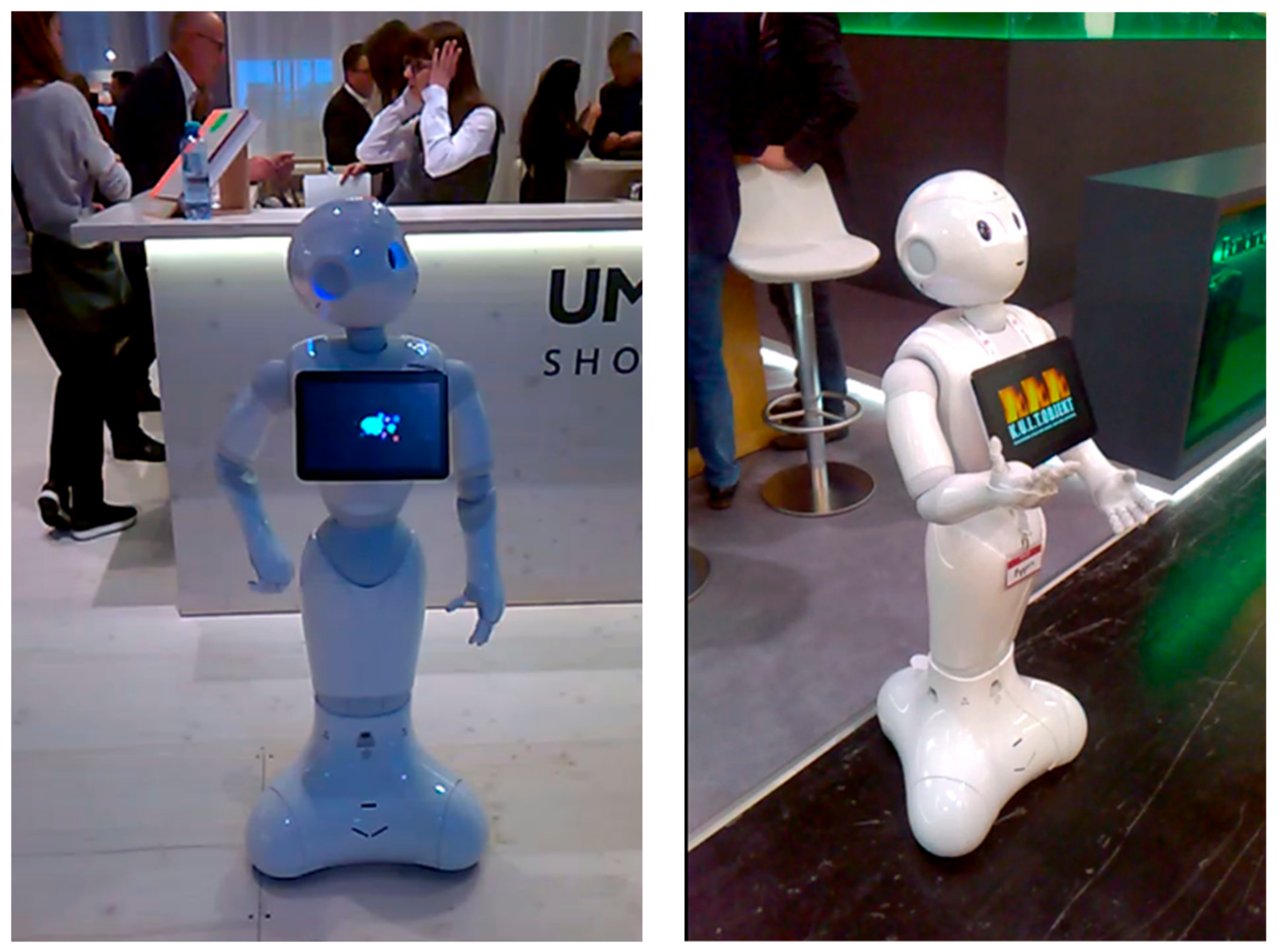 Information | Free Full-Text | Can Social Robots Make Societies More Human?