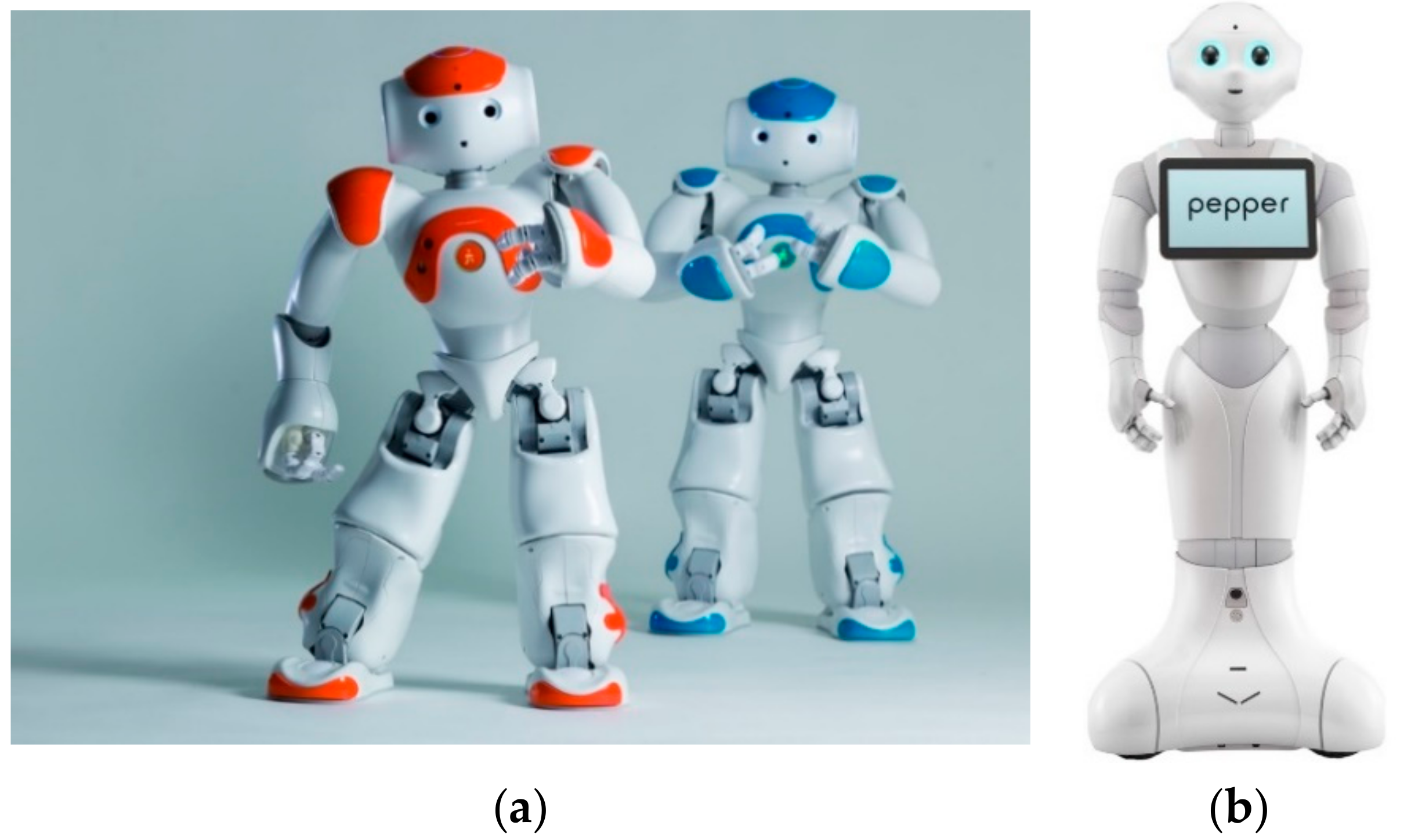 Information | Free Full-Text | What Makes a Social Robot Good at  Interacting with Humans? | HTML
