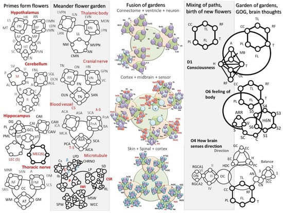 Information Free Full Text A Self Operating Time Crystal Model