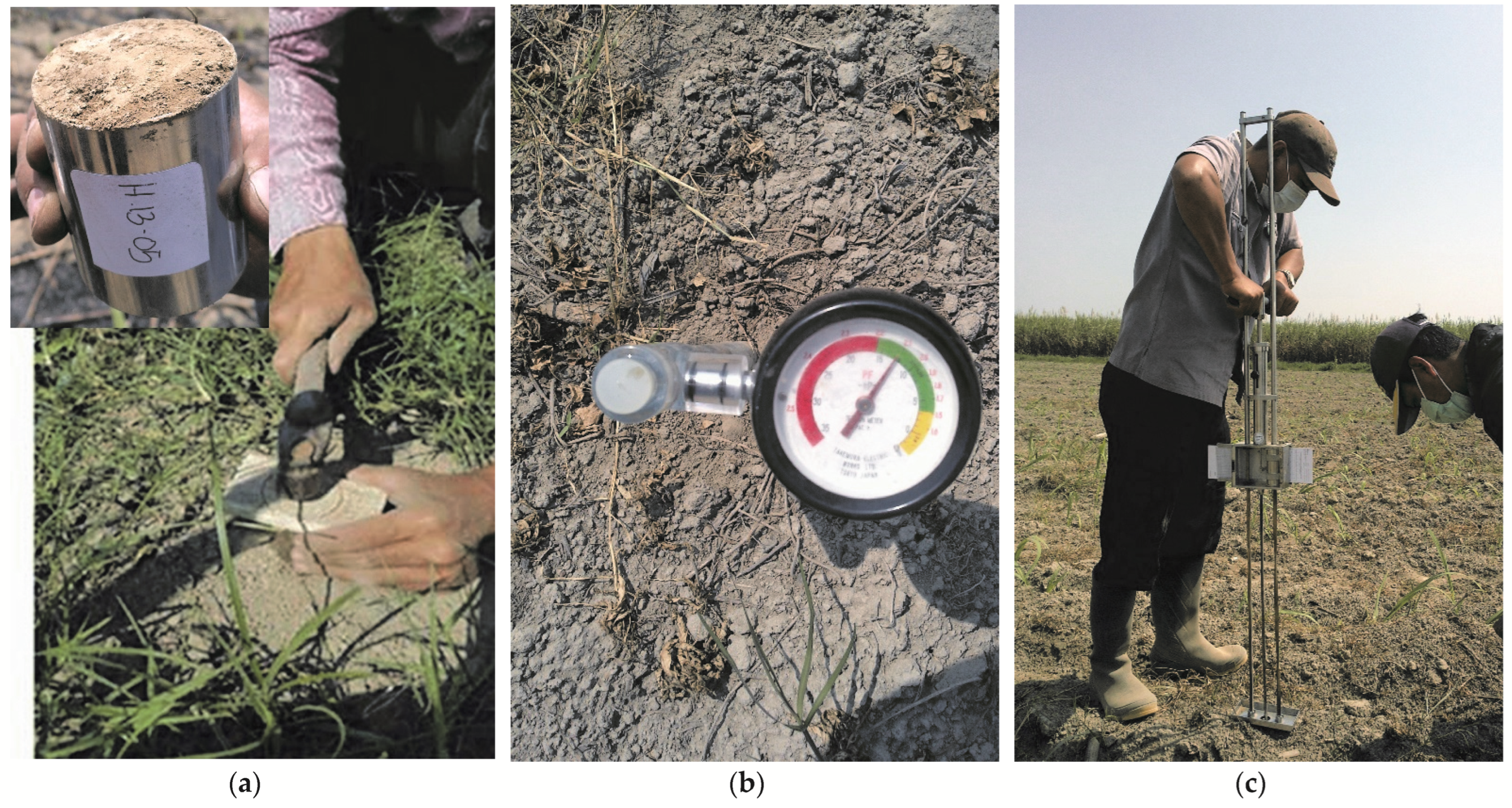 Information 13 00493 g004 Information 13 00493 g004