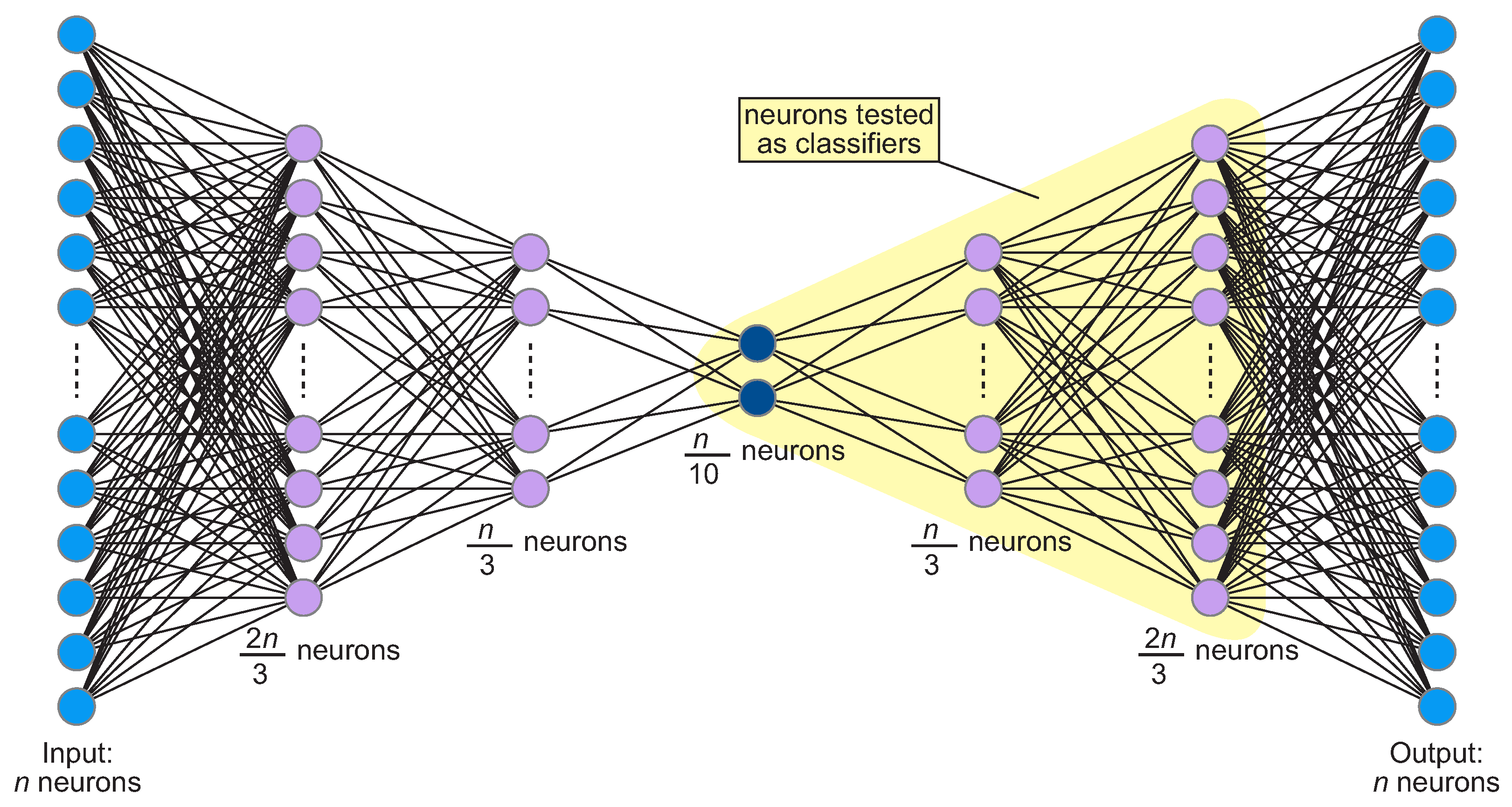 Information | Free Full-Text | Exploring Neural Dynamics in Source