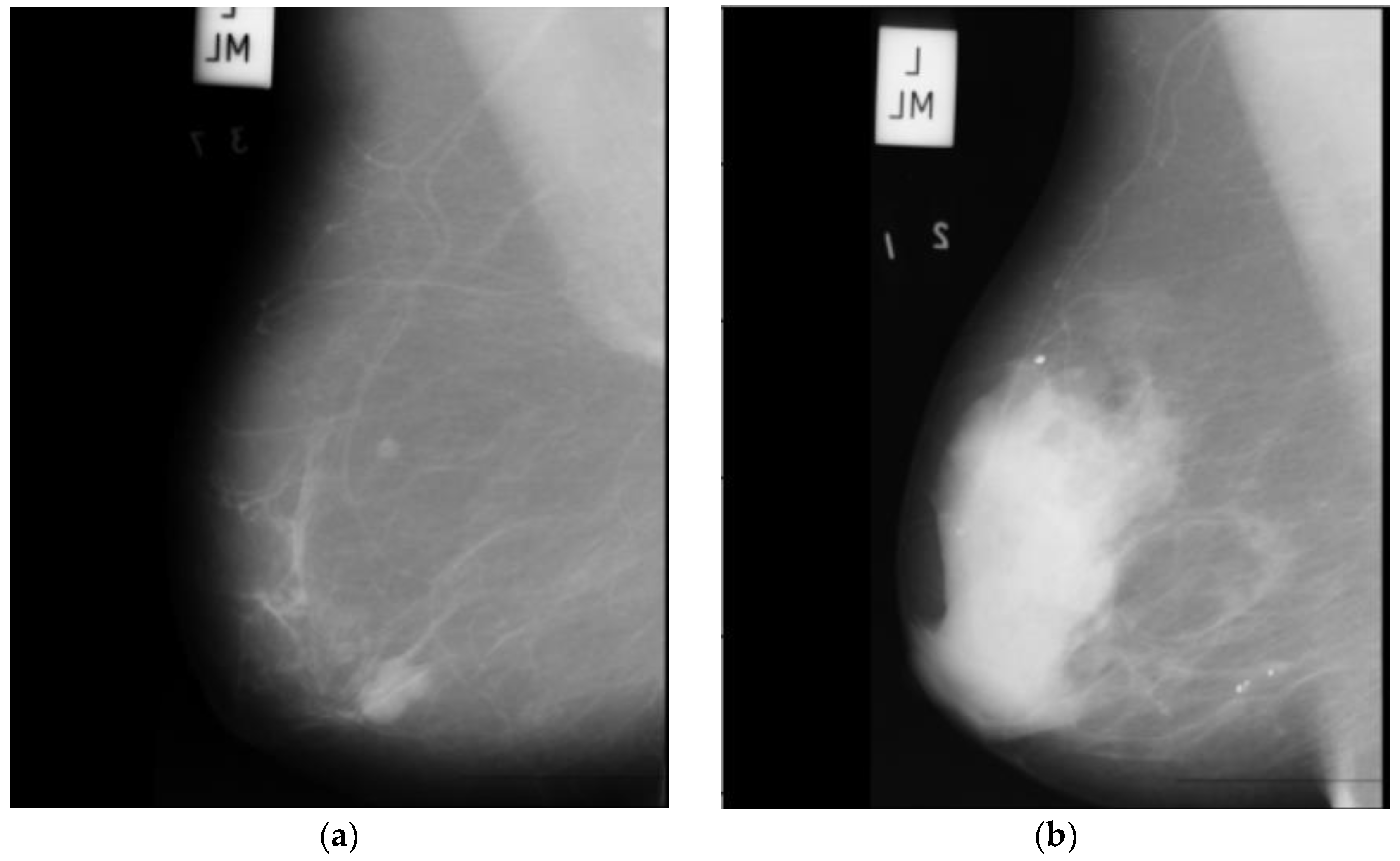 Information 14 00410 g002 Information 14 00410 g002