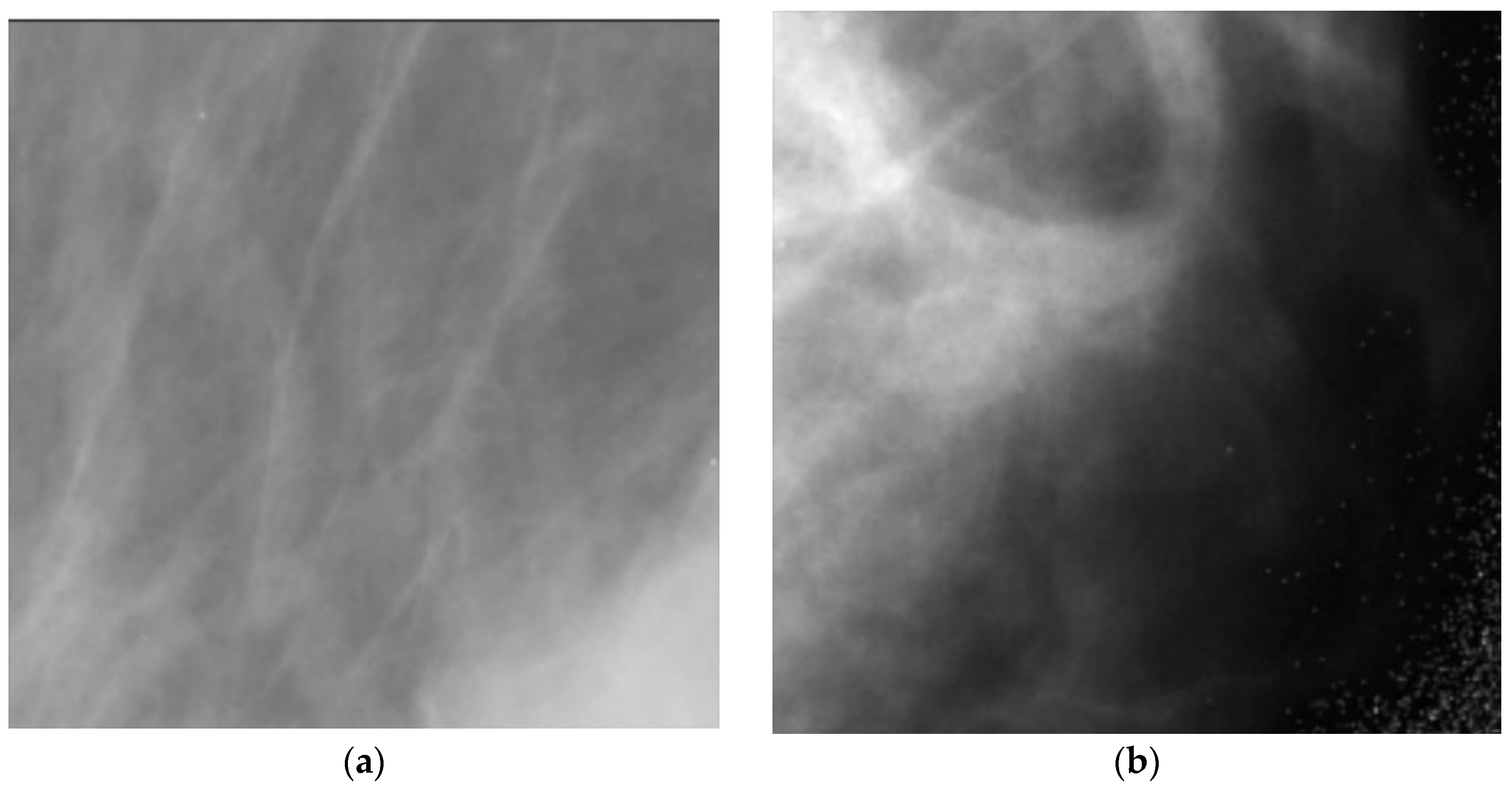 Information 14 00410 g003 Information 14 00410 g003