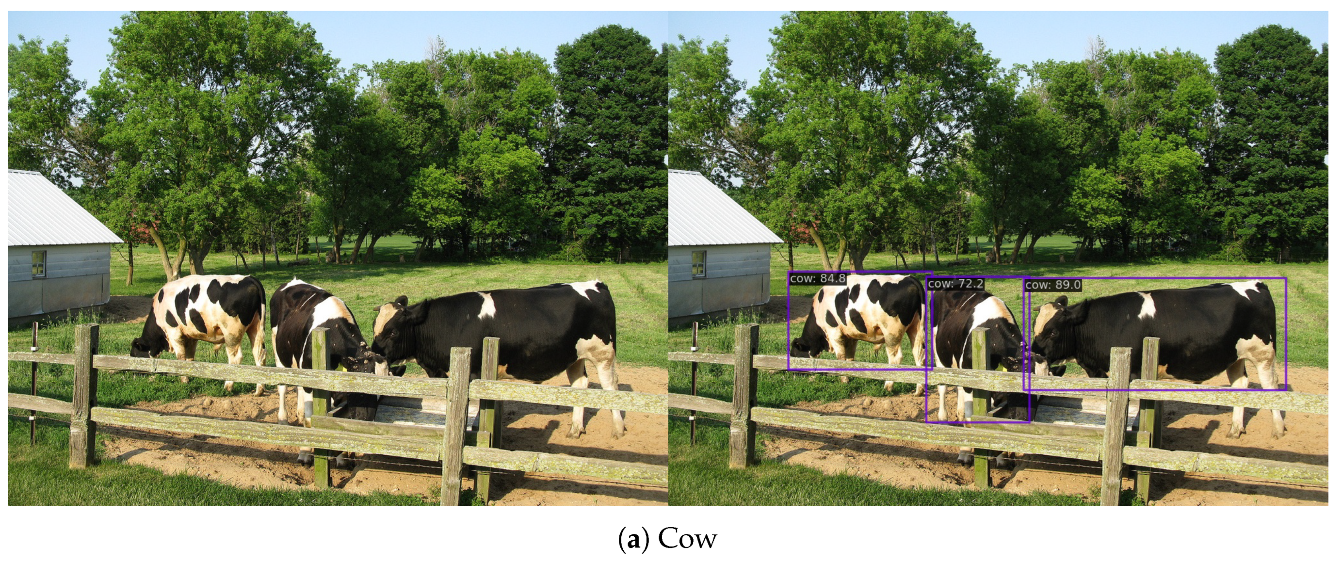 Information 14 00535 g005a