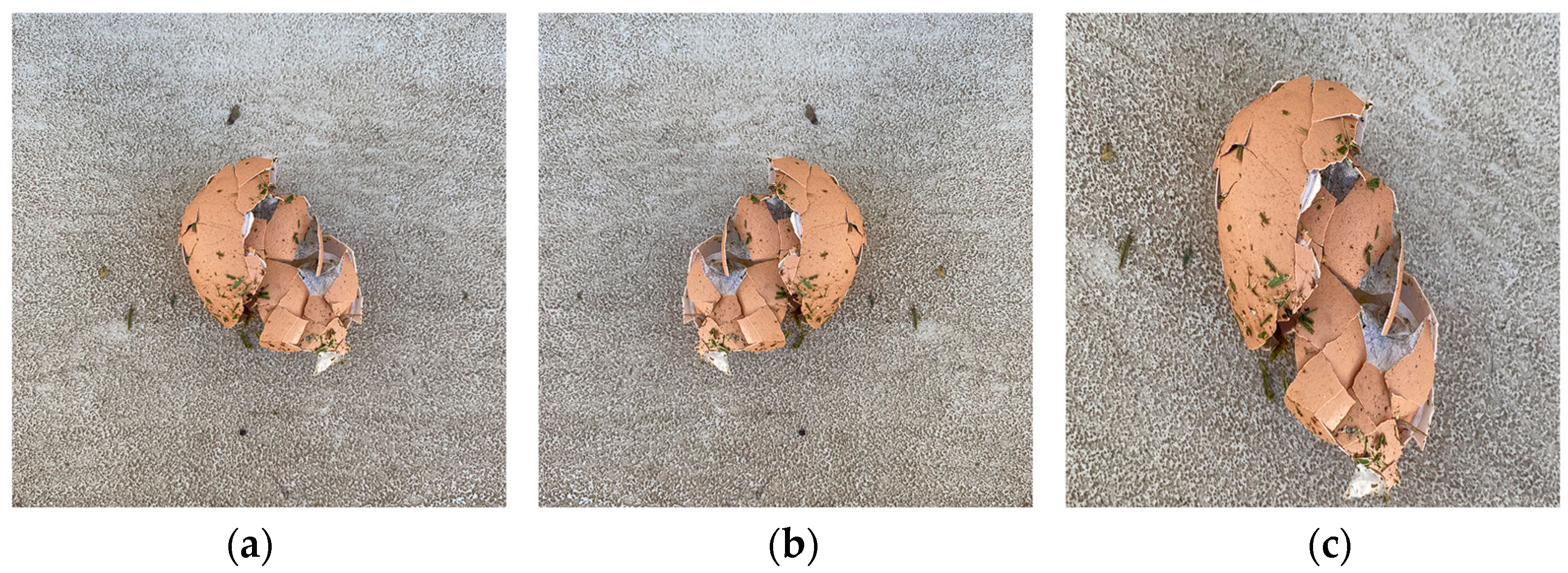 Information 14 00633 g003