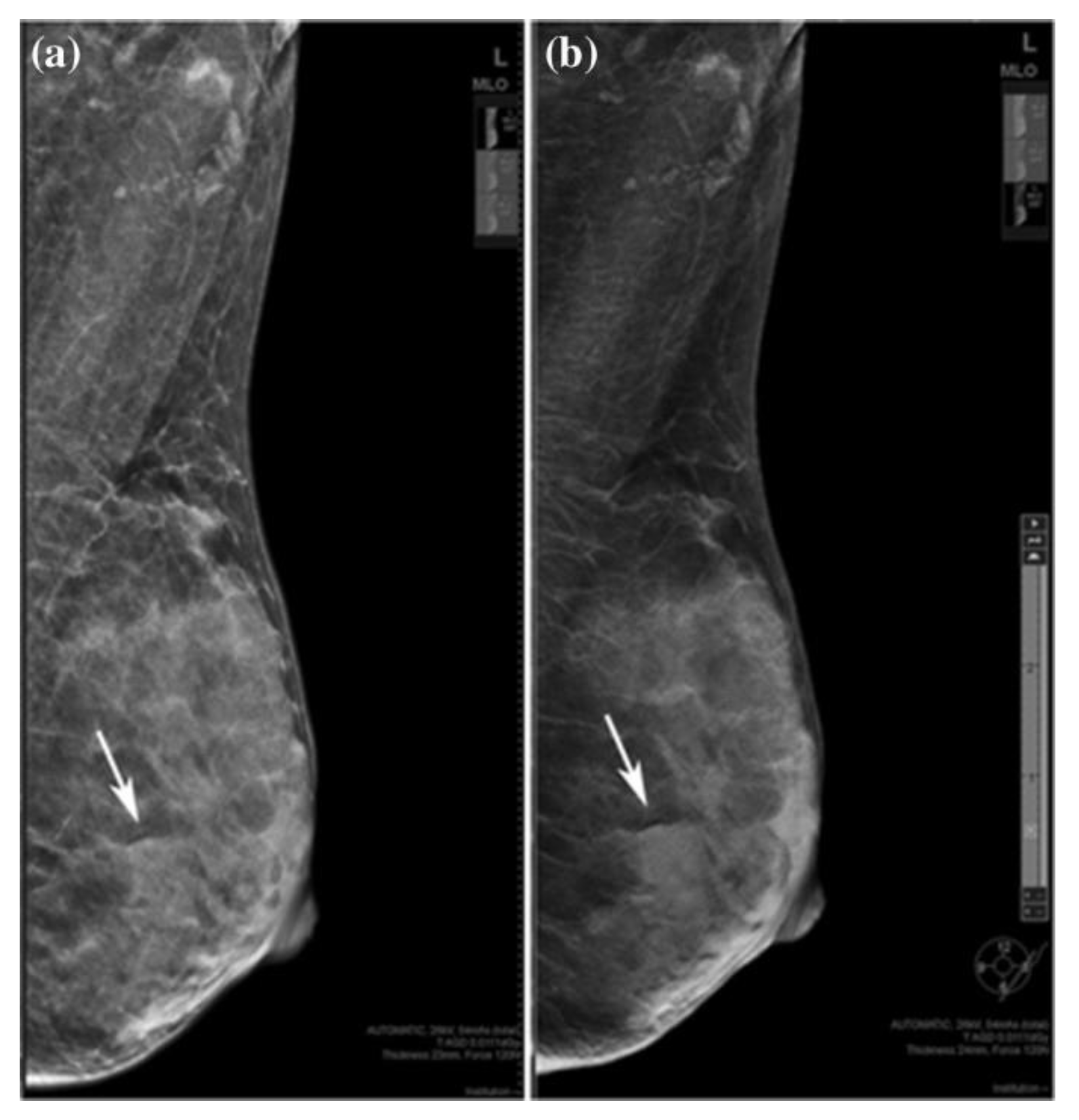 Information 15 00010 g002 Information 15 00010 g002