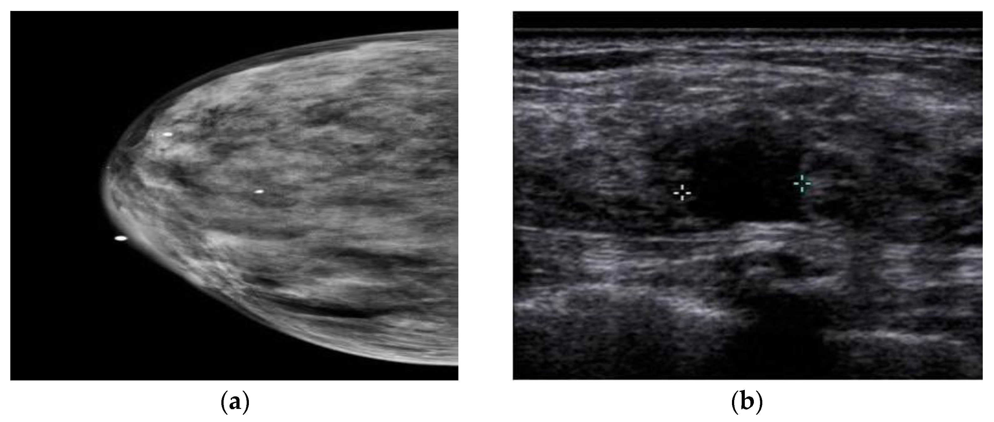 Information 15 00010 g004 Information 15 00010 g004