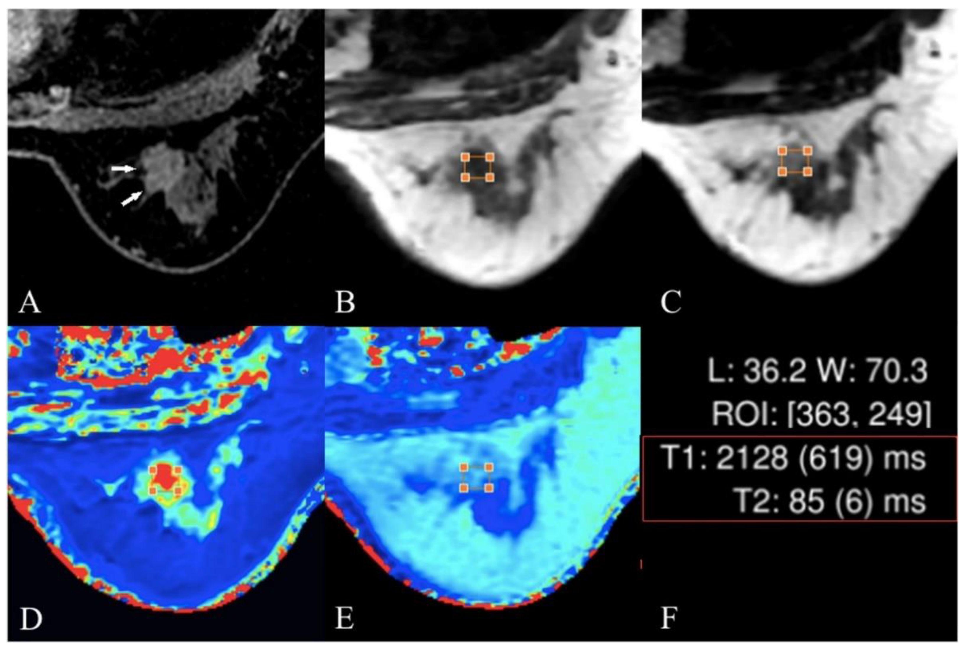 Information 15 00010 g005 Information 15 00010 g005