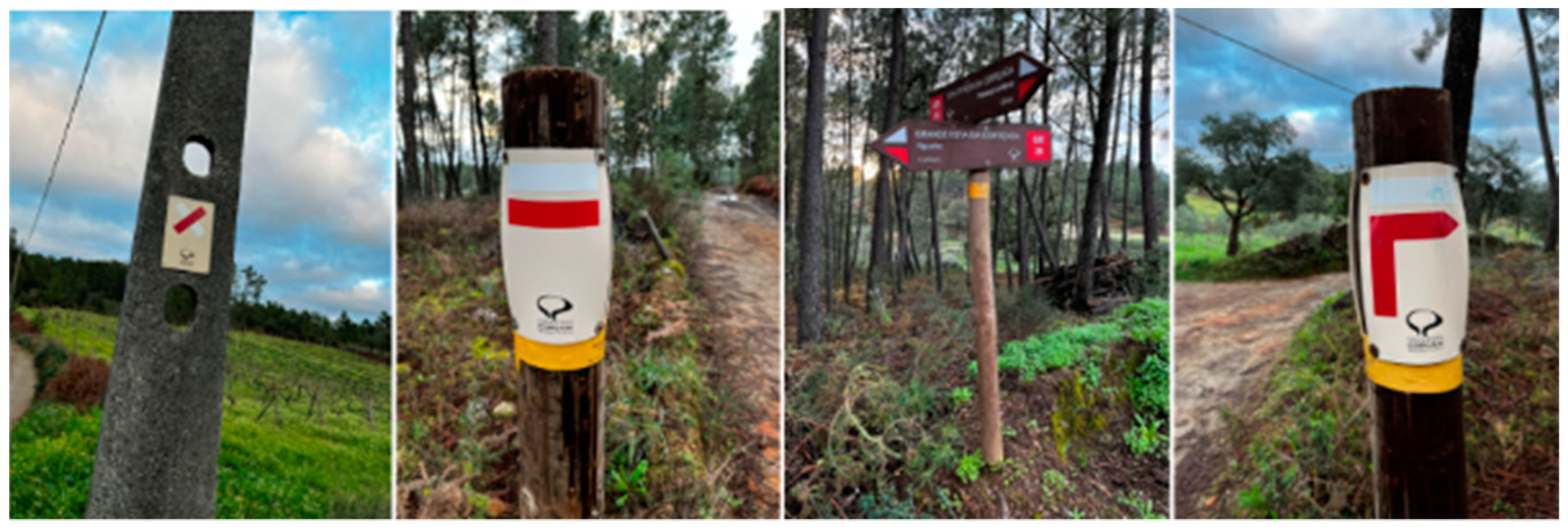 Information 15 00389 g002