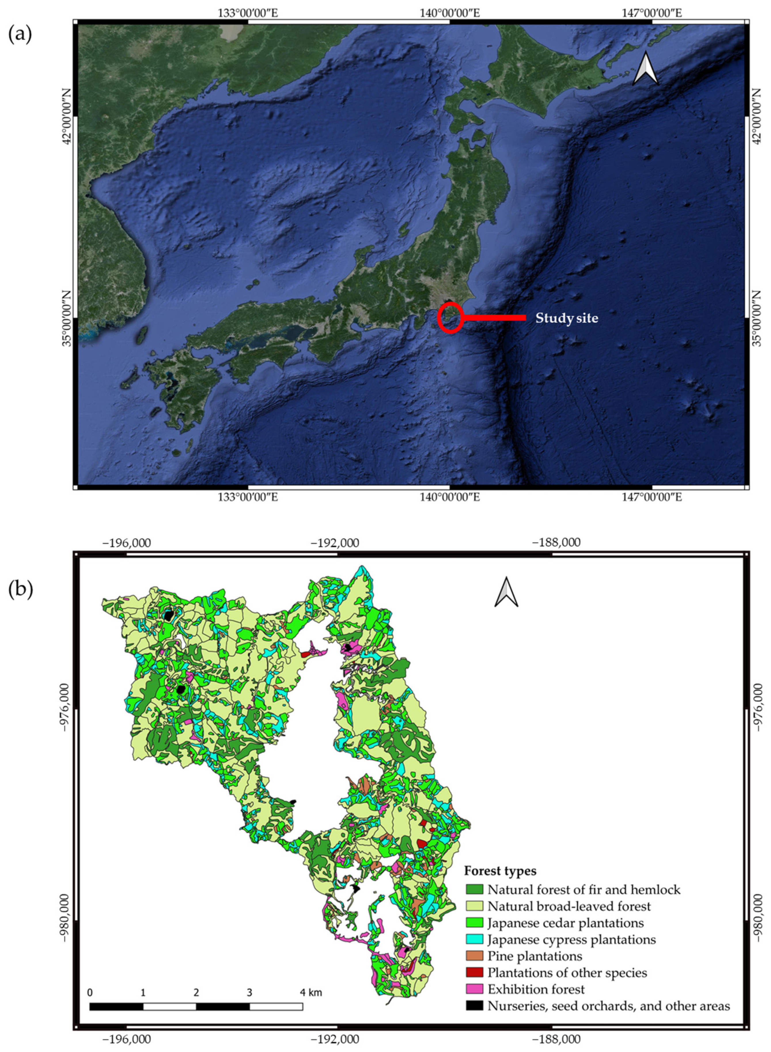Information 15 00485 g001a Information 15 00485 g001a