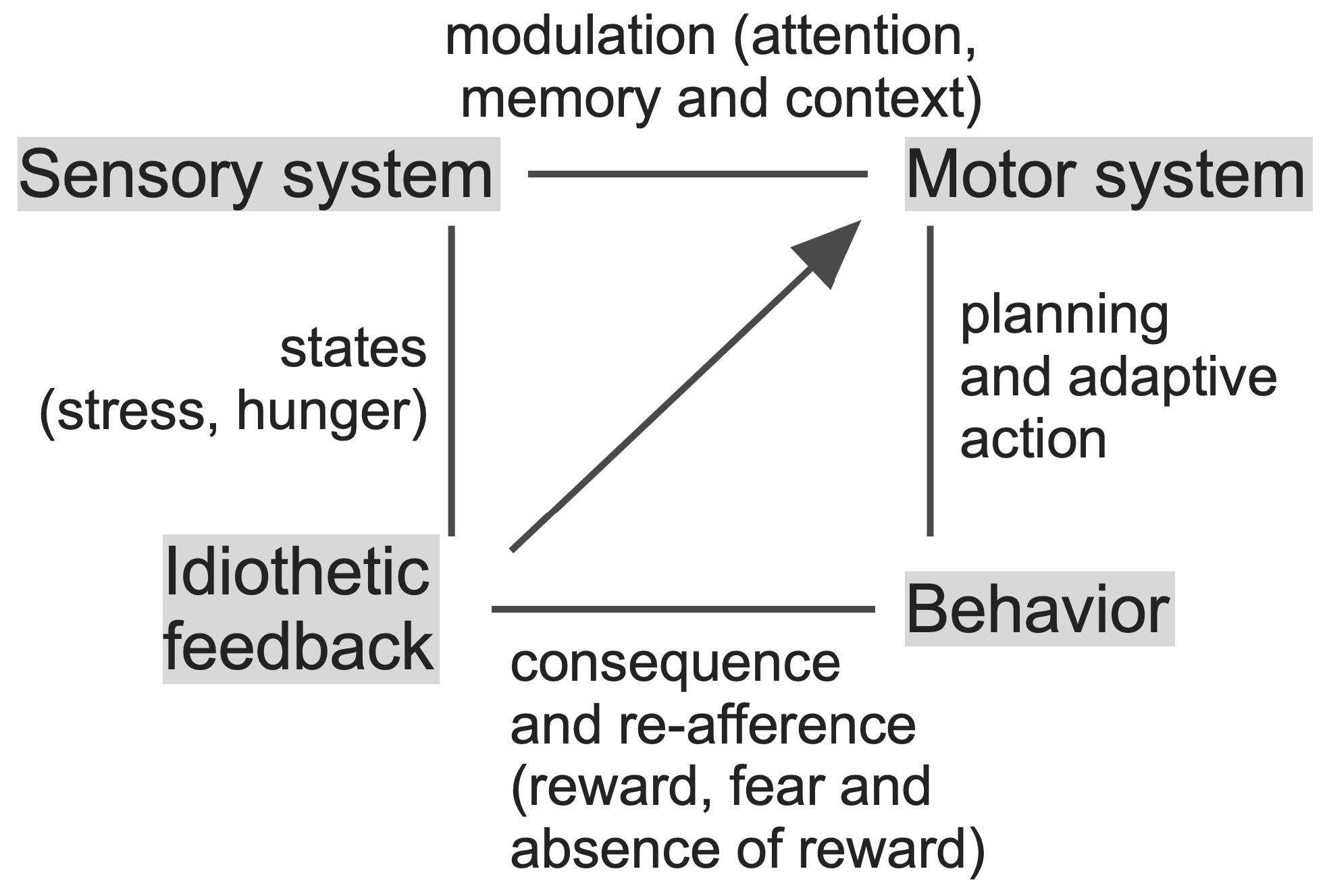 Information 15 00487 g006